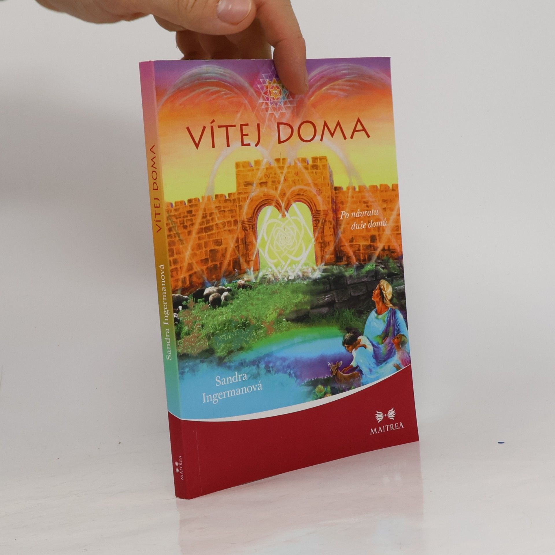 Sandra Ingerman Vítej doma - Po návratu duše domů