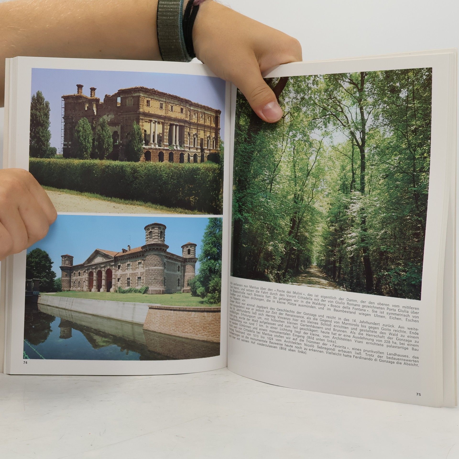 Various authors Mantua und seine Kunstschätze
