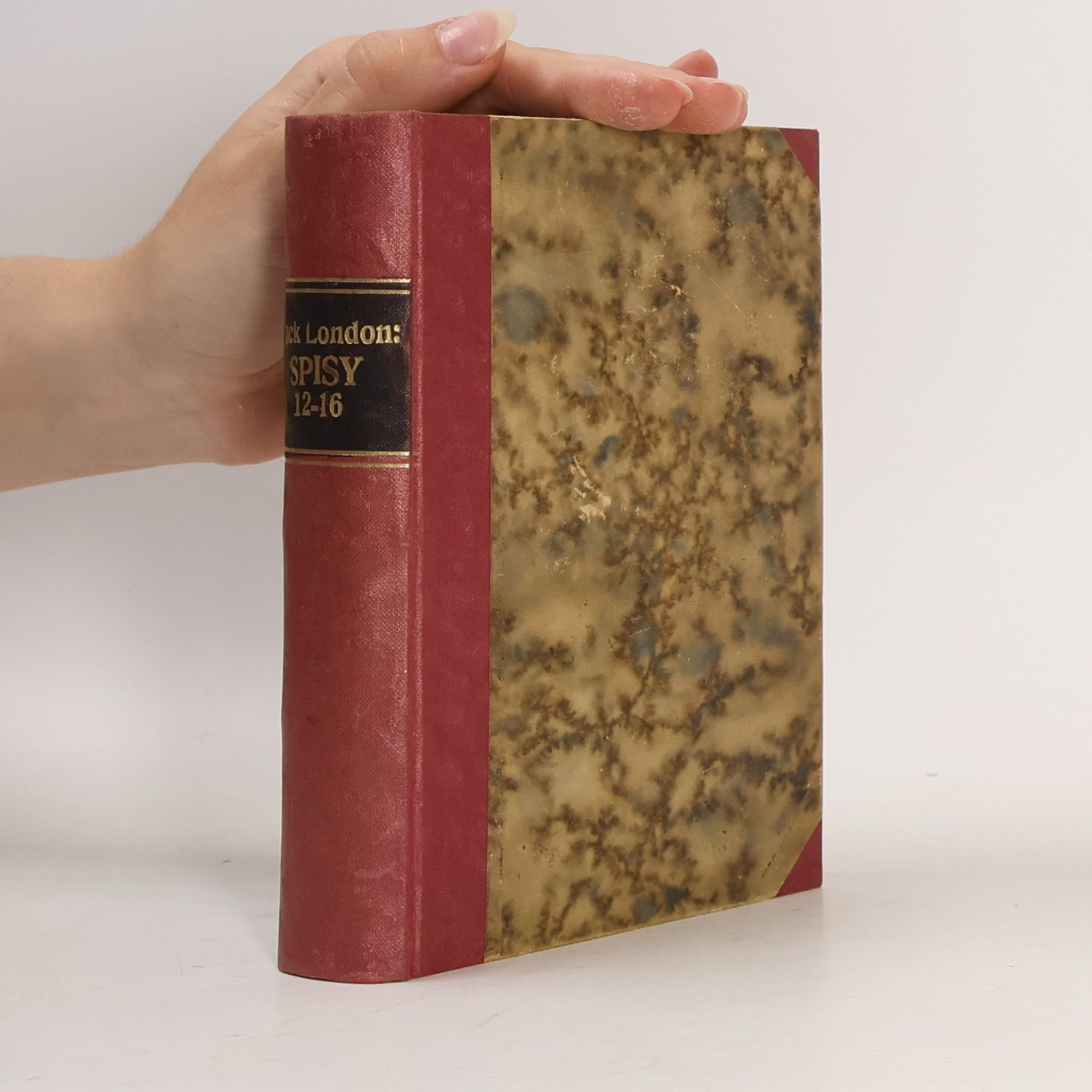 Jack London Měsíční údolí I.