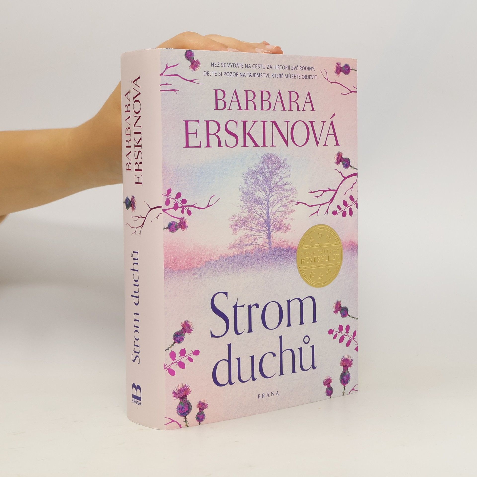 Barbara Erskine Strom duchů