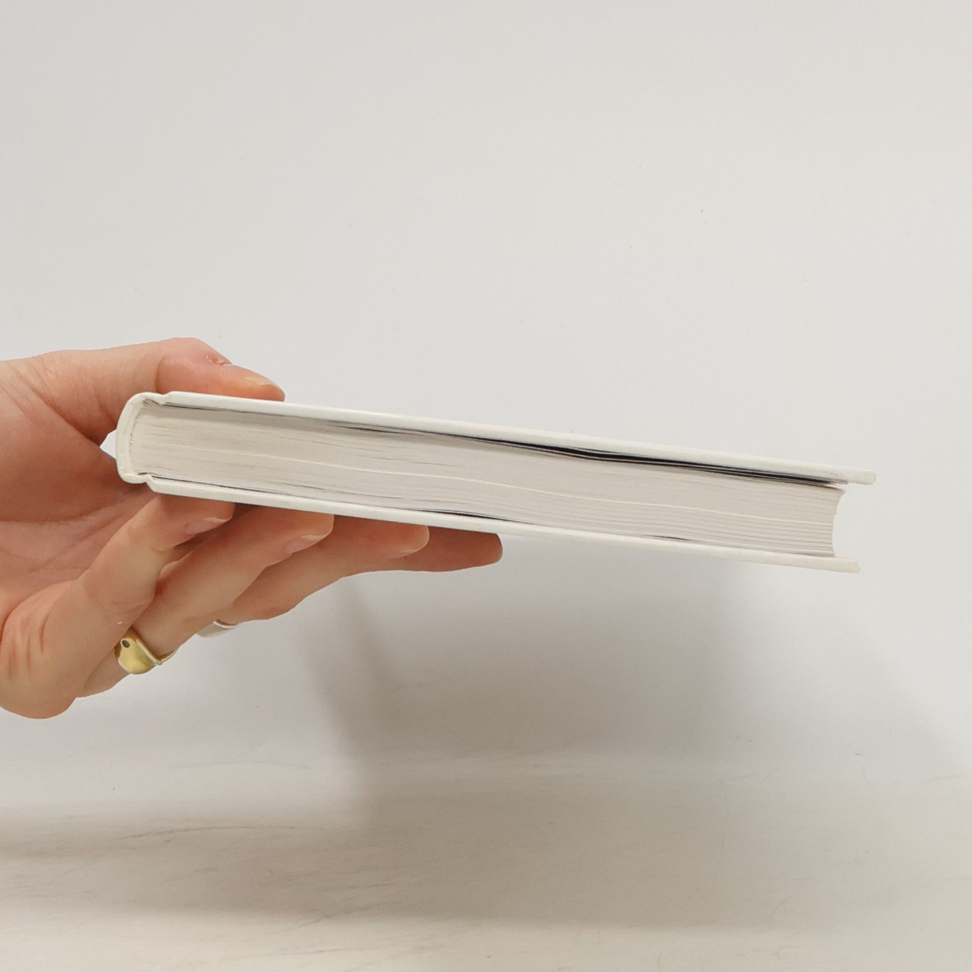 Jaroslav Pánek Poslední Rožmberk