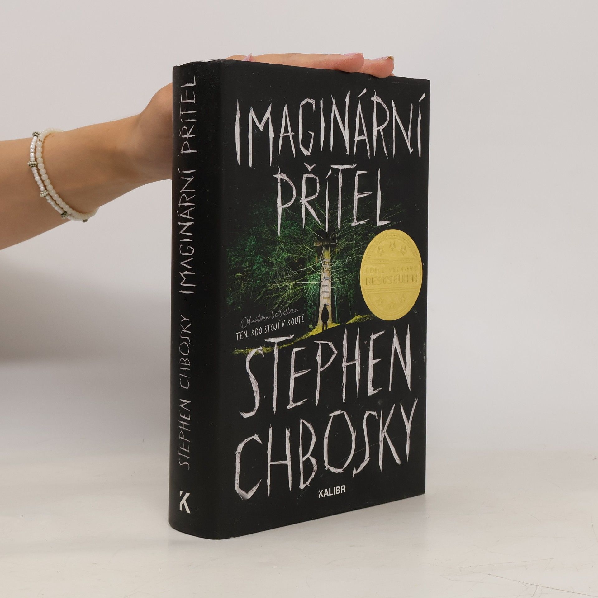 Stephen Chbosky Imaginární přítel