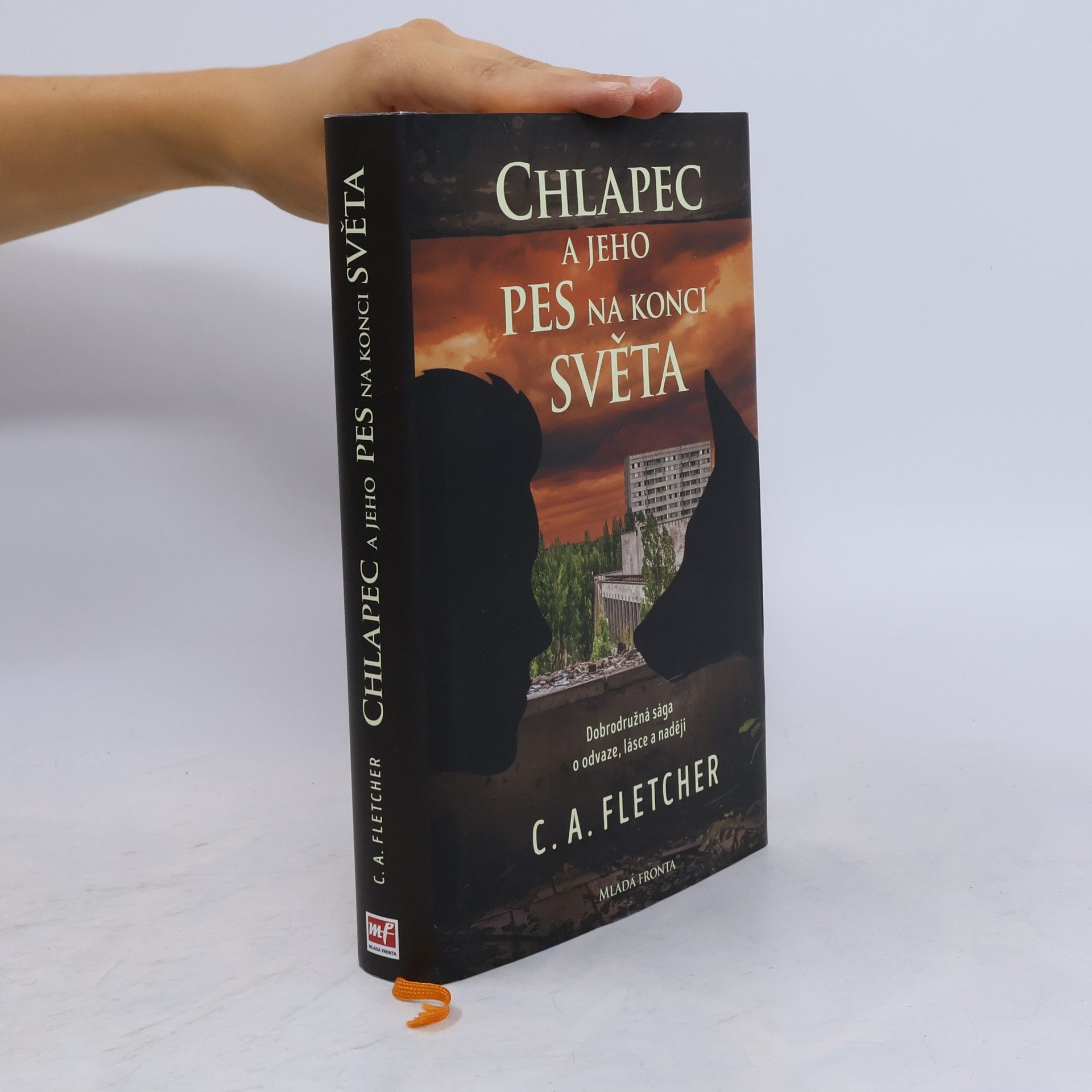 Charlie Fletcher Chlapec a jeho pes na konci světa