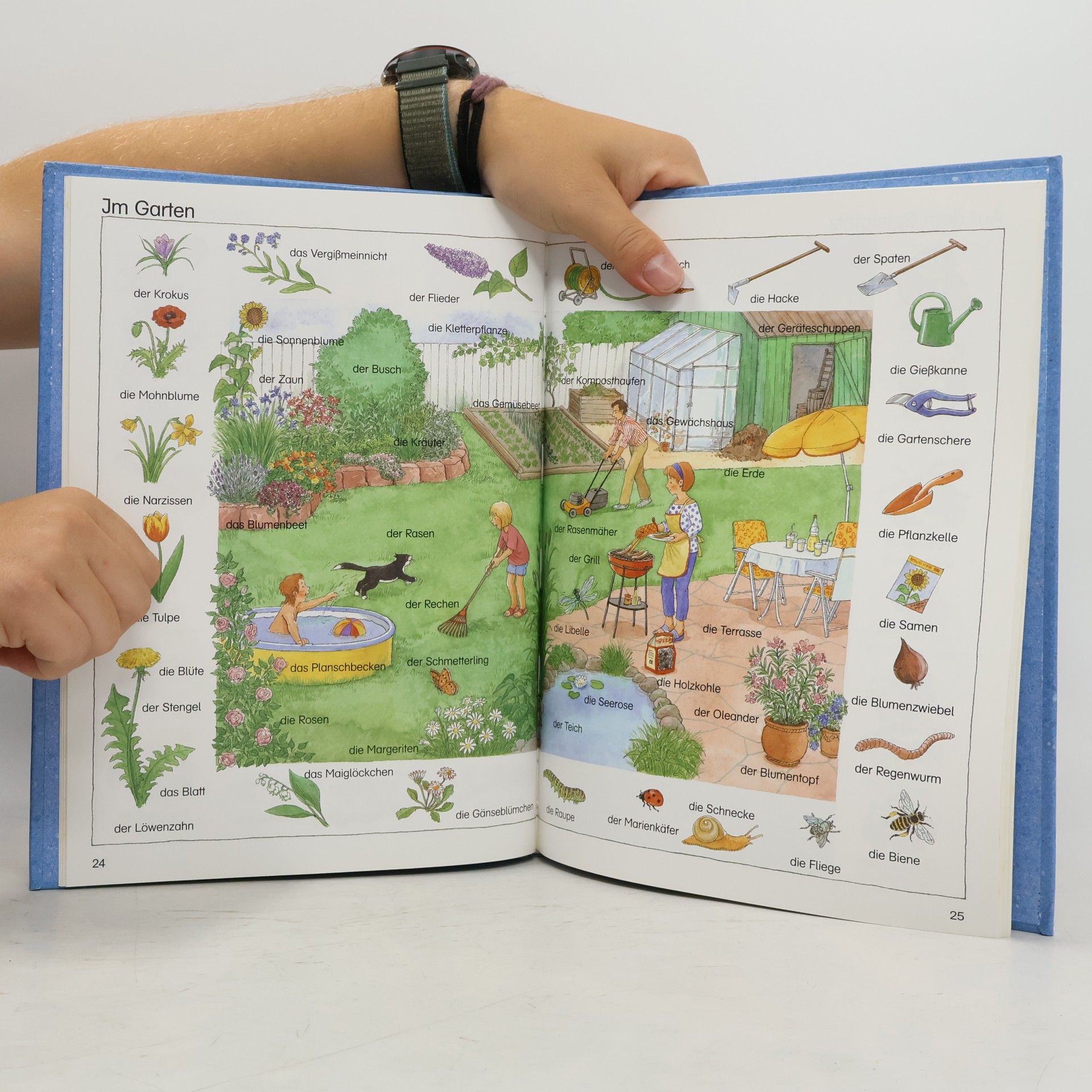 Angela Weinhold Das grosse bunte Bildwörterbuch