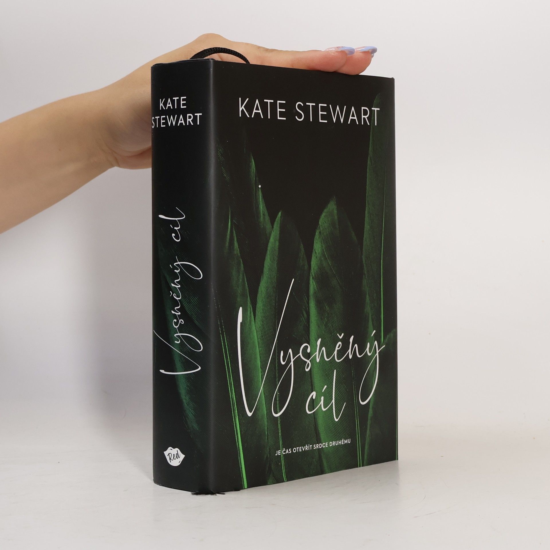 Kate Stewart Vysněný cíl. Kniha třetí