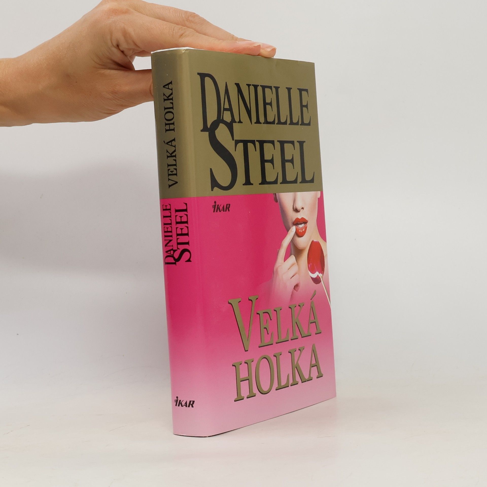 Danielle Steel Velká holka