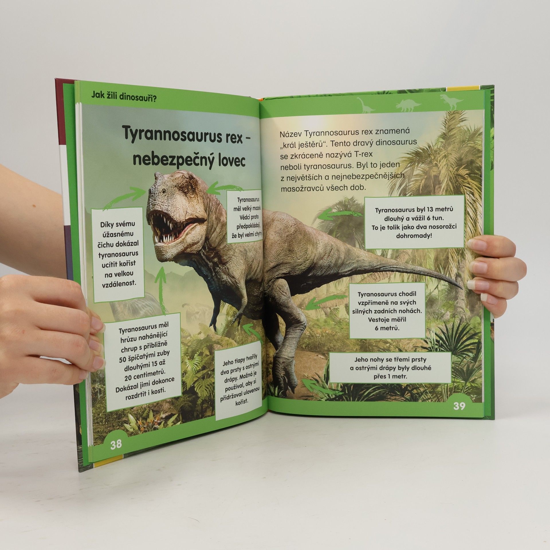 Autorenkollektiv Učím se číst: Dinosauři