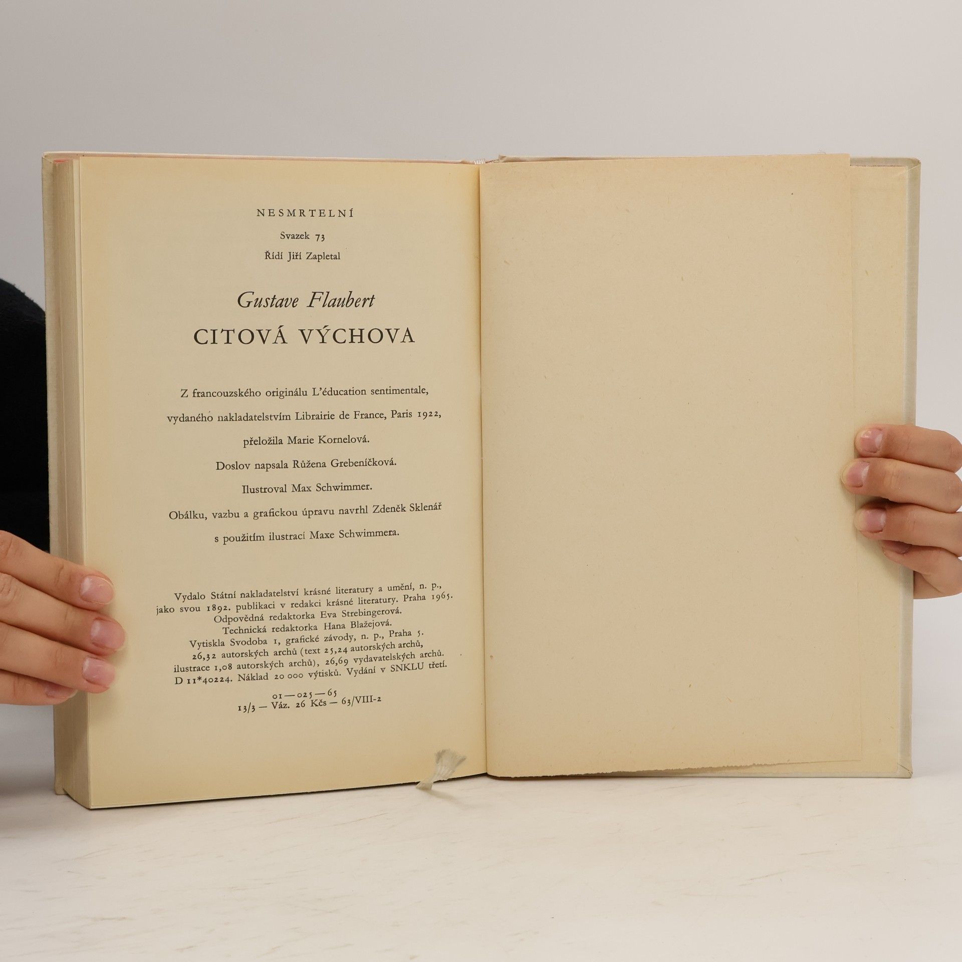 Gustave Flaubert Citová výchova