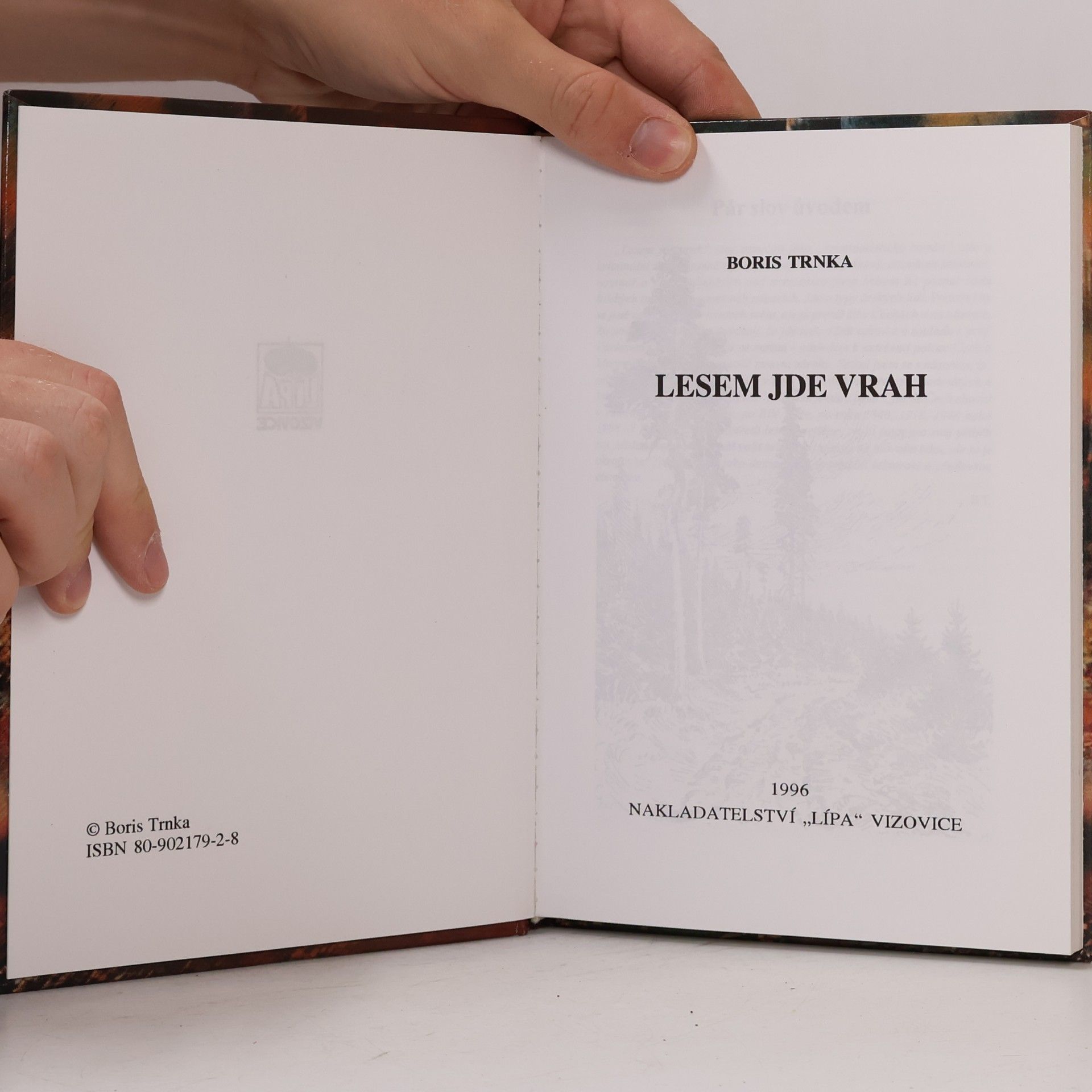 Boris Trnka Lesem jde vrah