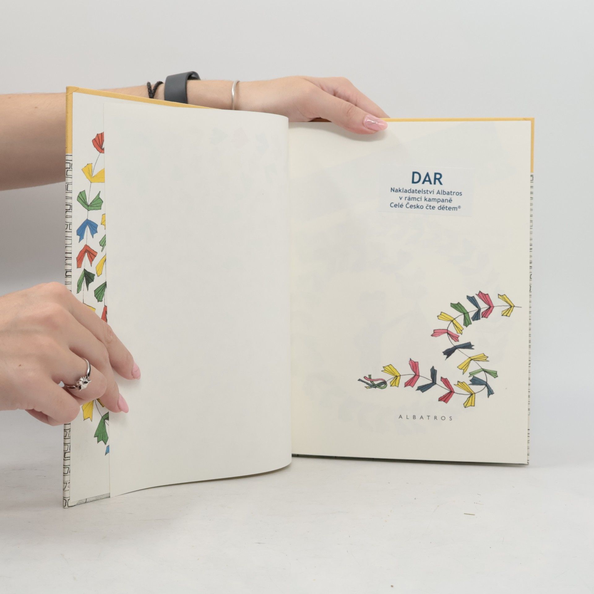 Zdeněk Karel Slabý Papírový drak