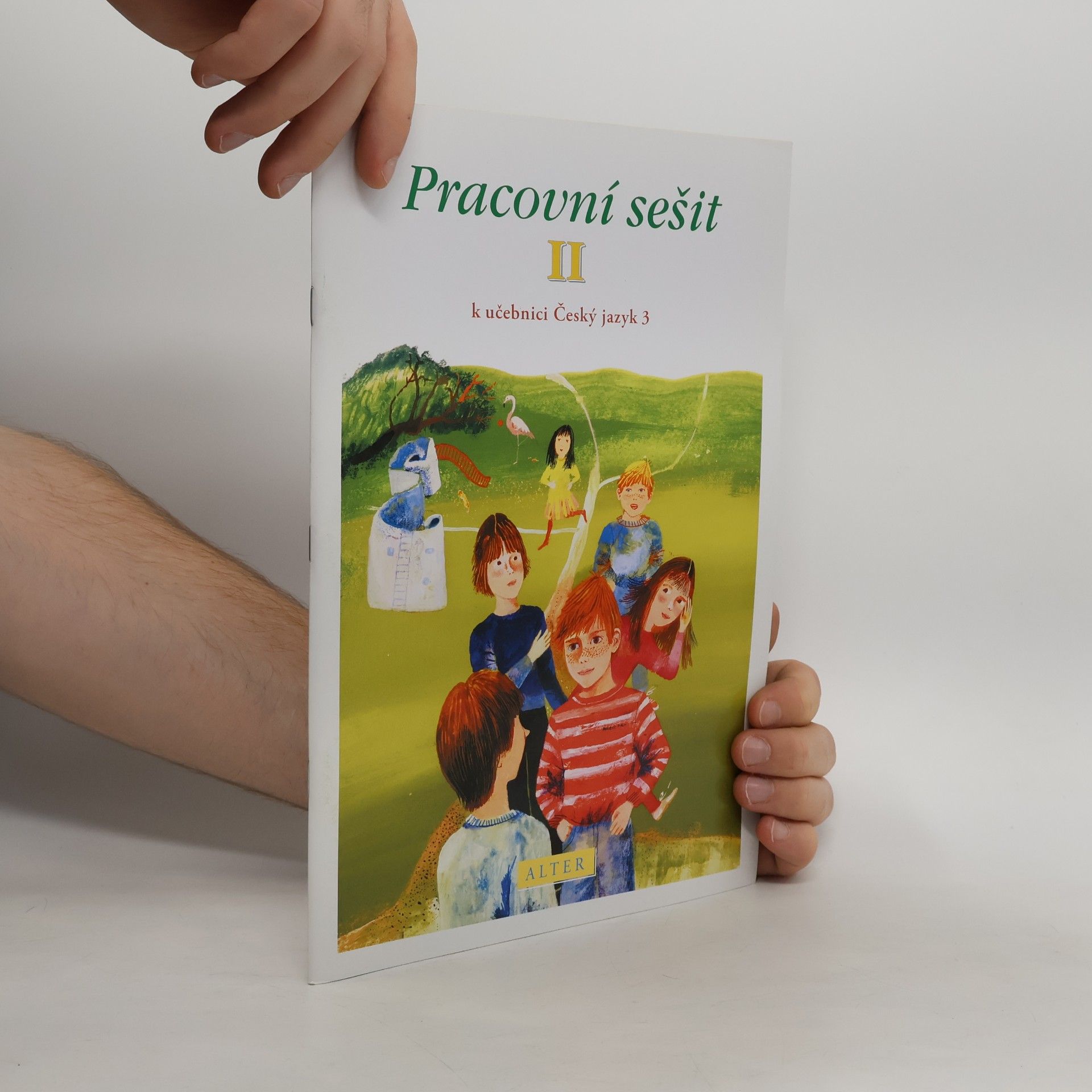 Pracovní sešit II. k učebnici Český jazyk 3