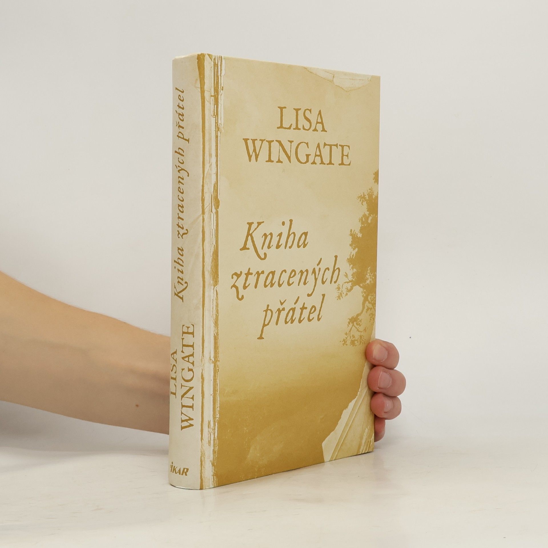Lisa Wingate Kniha ztracených přátel