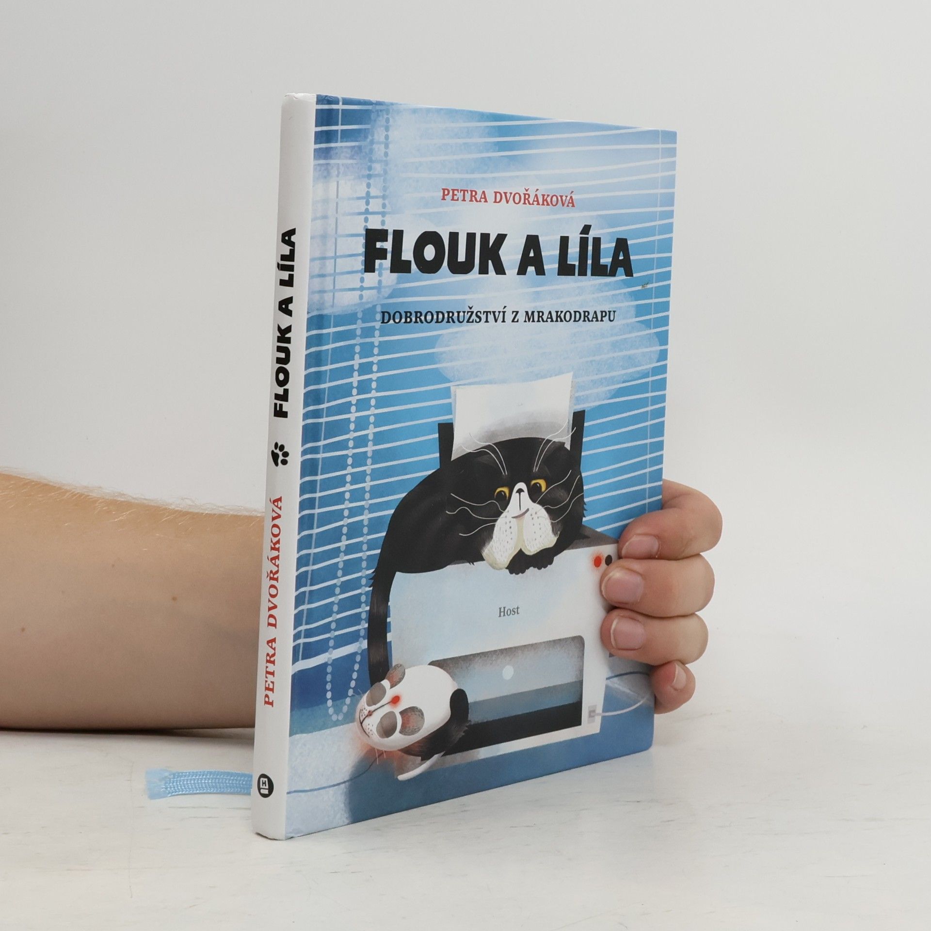 Petra Dvořáková Flouk a Líla: Dobrodružství z mrakodrapu