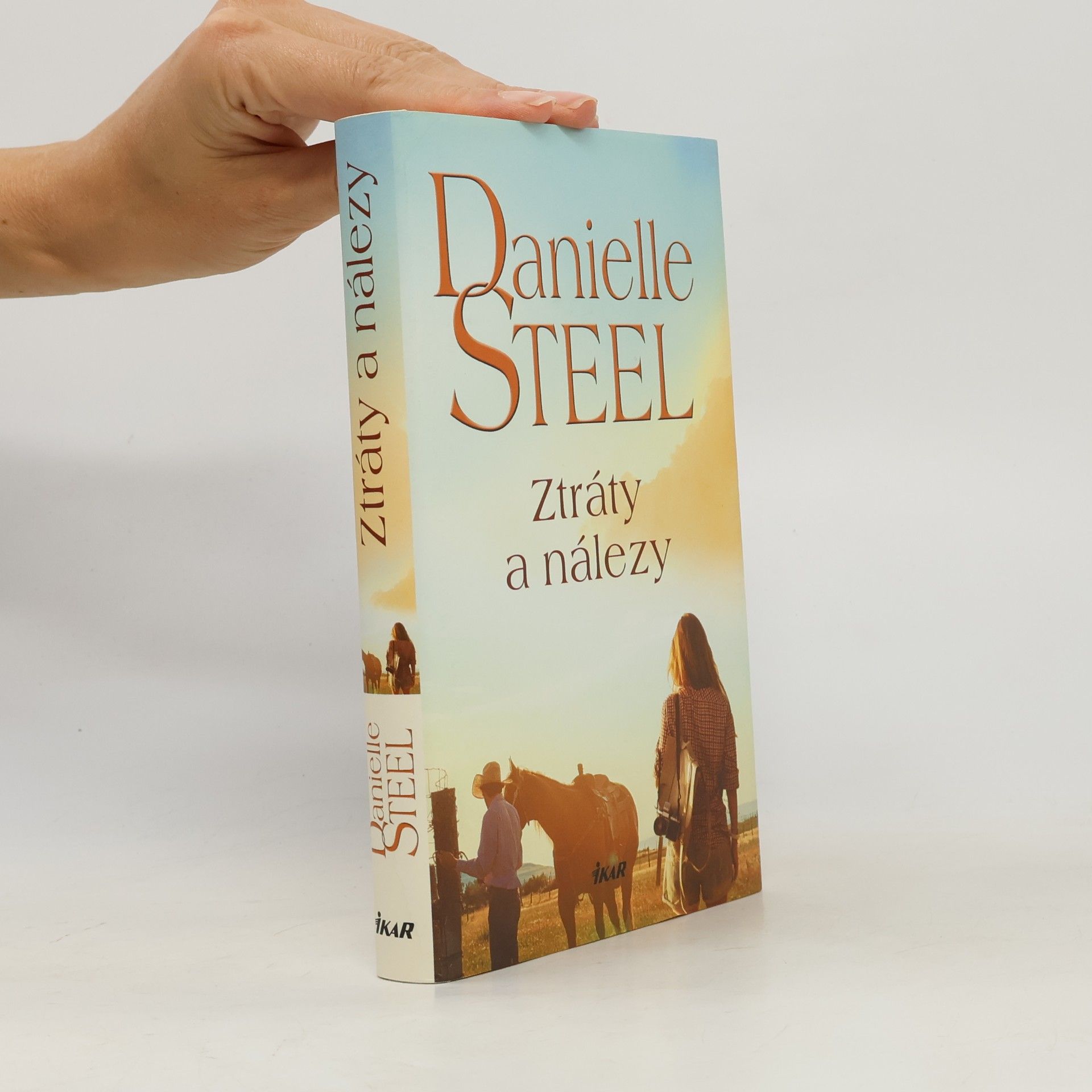 Danielle Steel Ztráty a nálezy