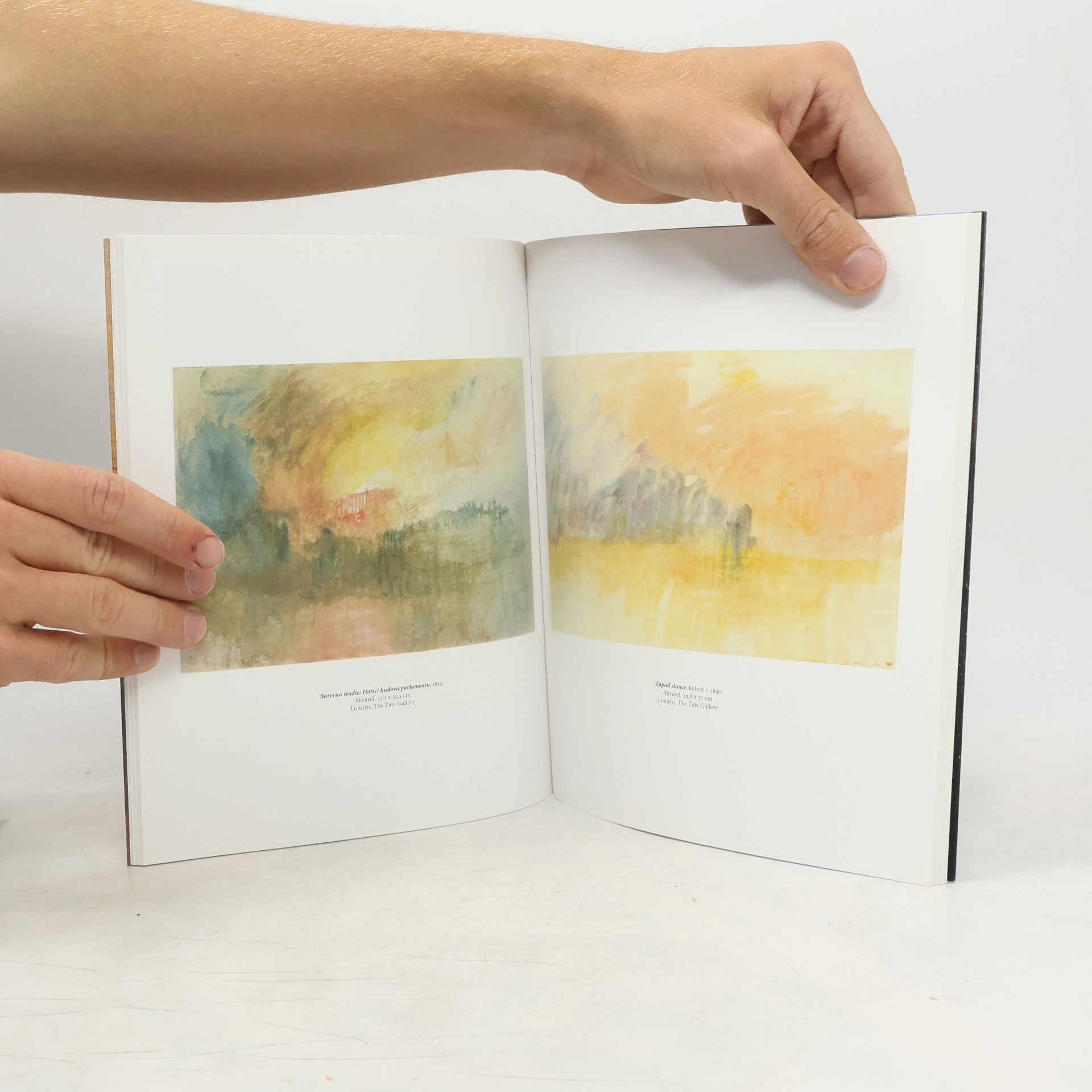 Michael Bockemühl J.M.W. Turner: Svět světla a barvy