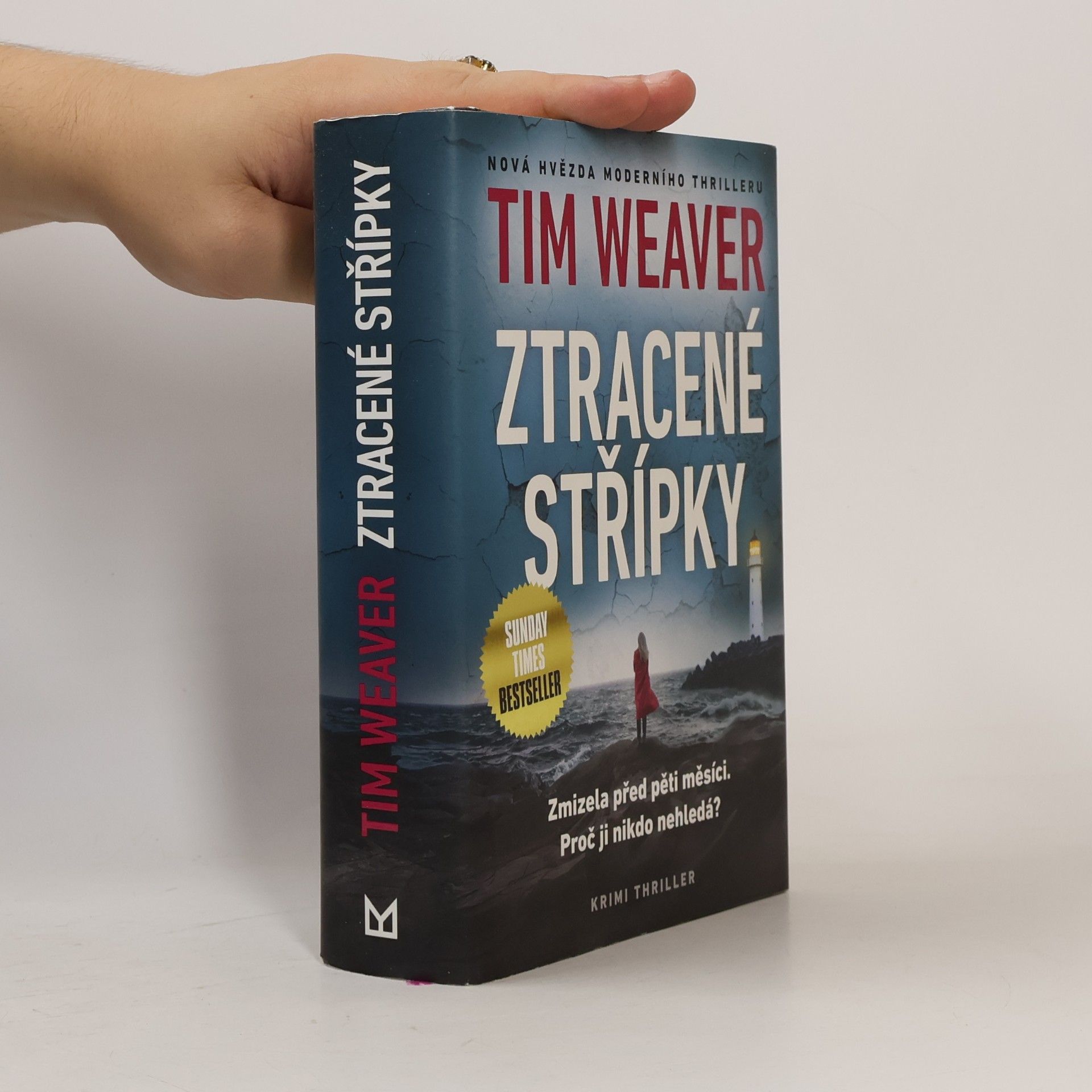 Tim Weaver Ztracené střípky