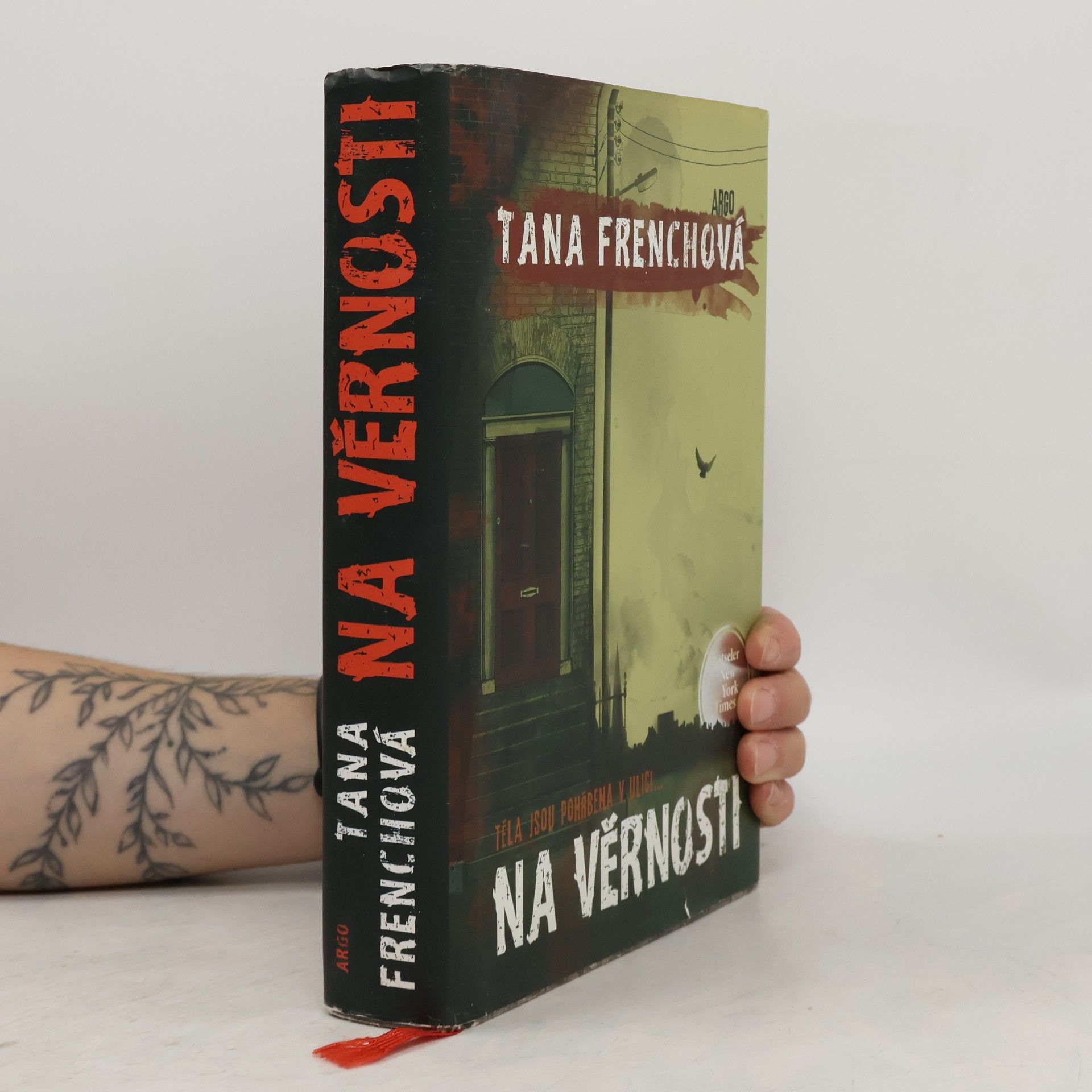 Tana French Na Věrnosti