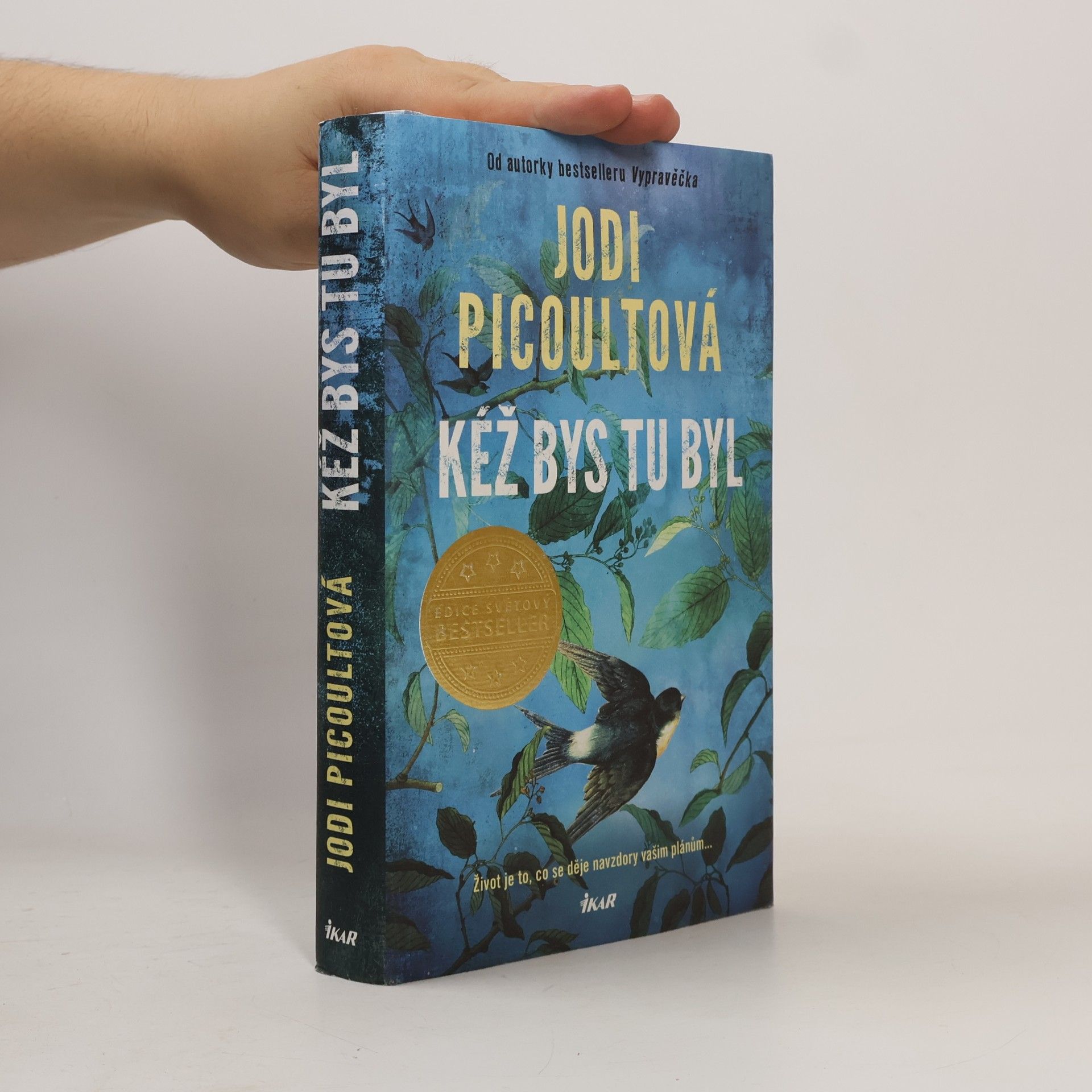 Jodi Picoult Kéž bys tu byl