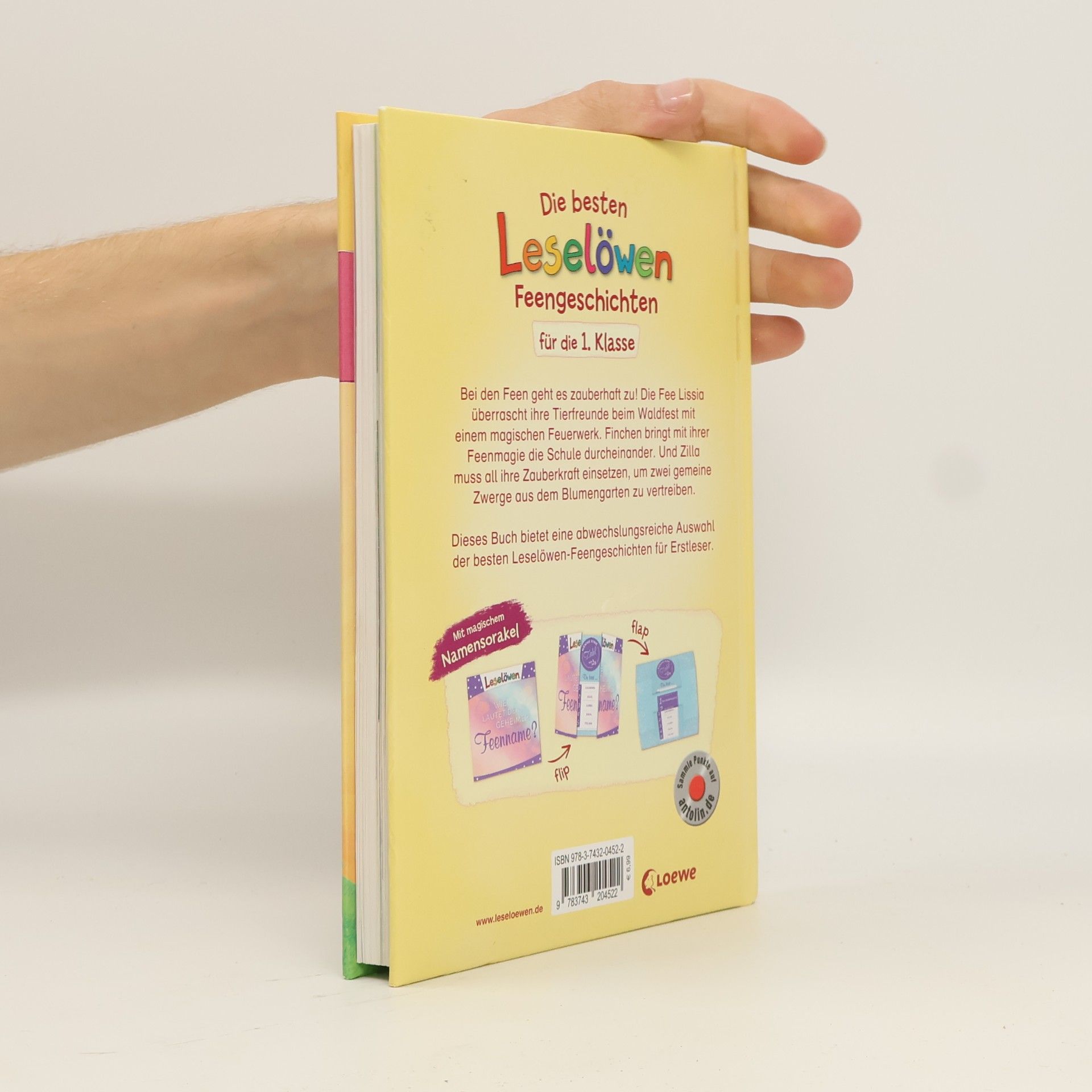 Die besten Leselöwen-Feengeschichten für die 1. Klasse
