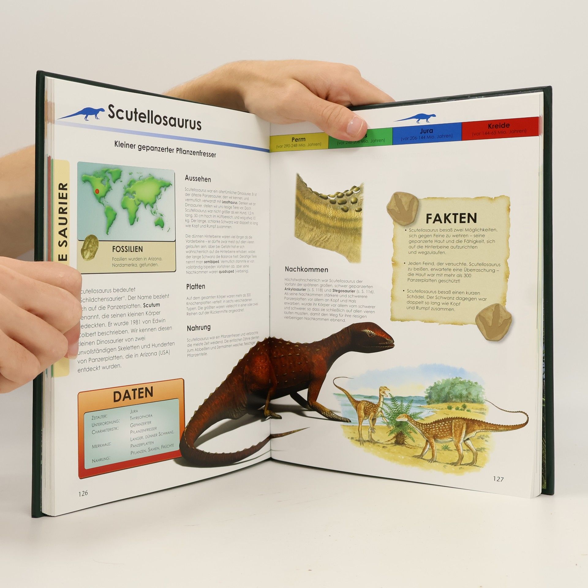 Autorenkollektiv Das Grosse Buch der Dinosaurier