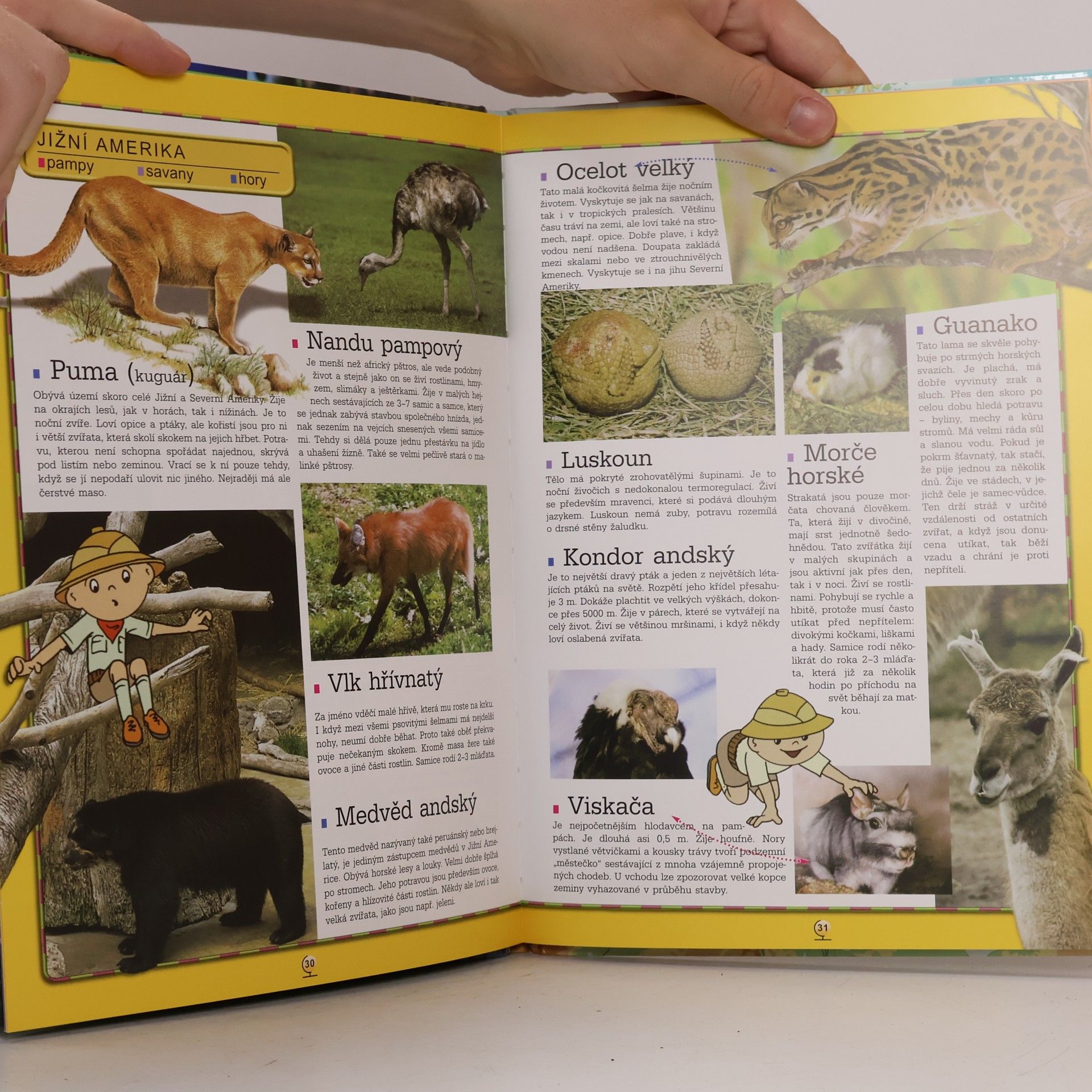 Autorenkollektiv Bolek a Lolek. Atlas zvířat