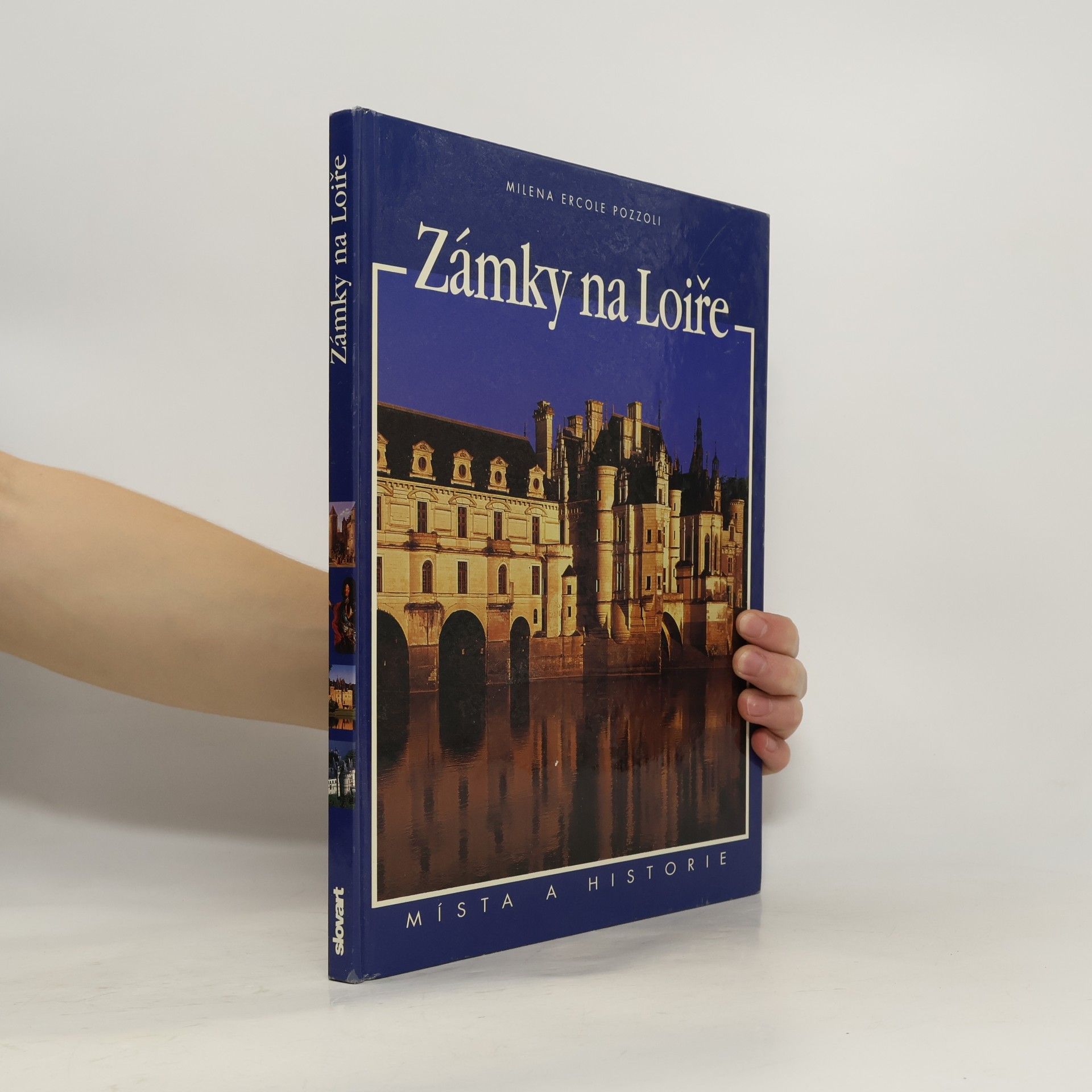 Zámky na Loiře