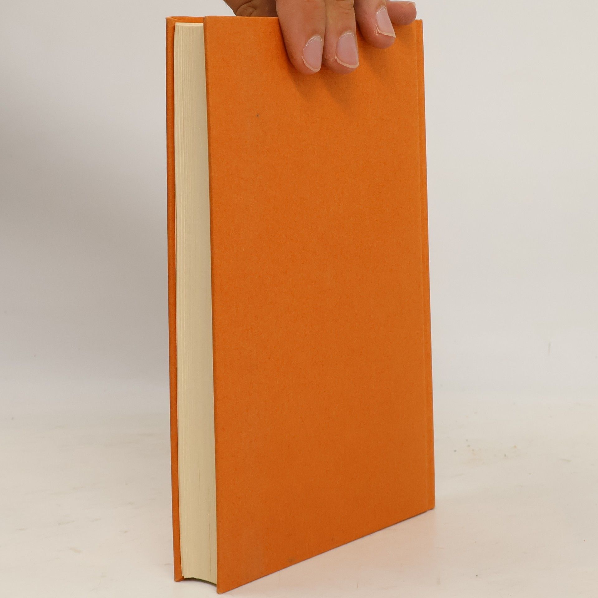 Günther Binding Mittelalterliche Baubetrieb