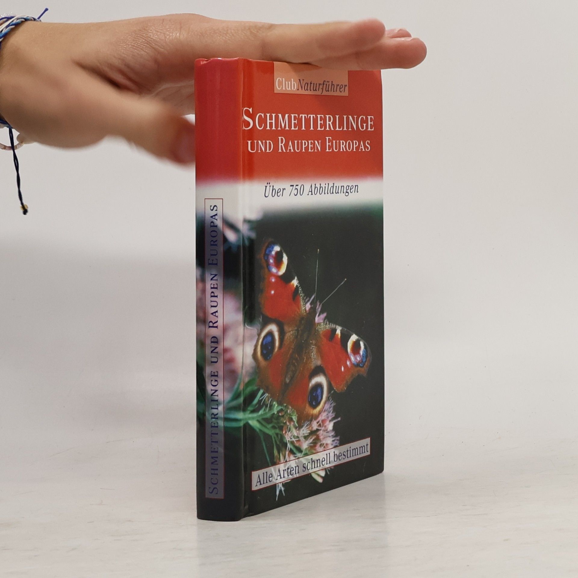 Autorenkollektiv Schmetterlinge und Raupen Europas