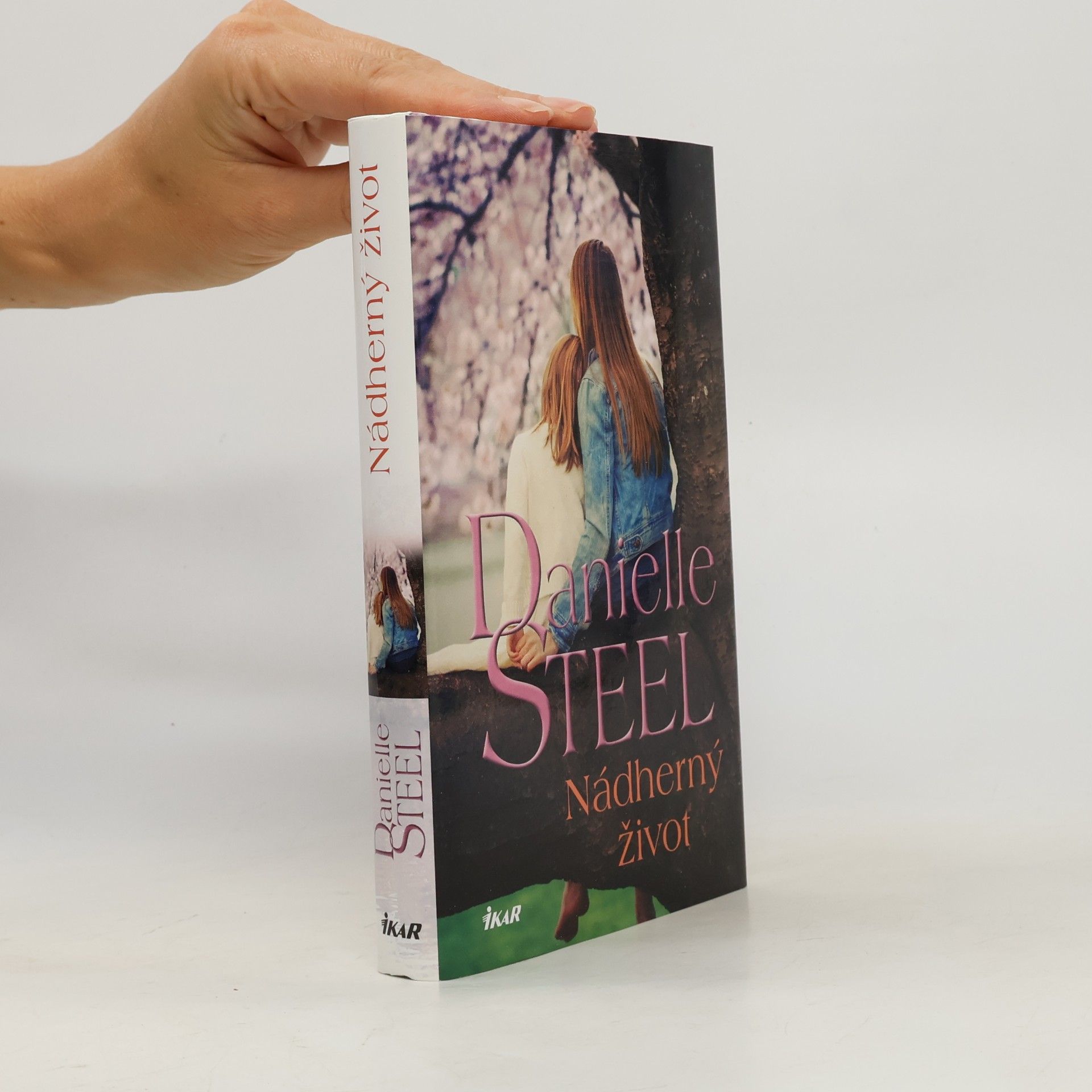 Danielle Steel Nádherný život