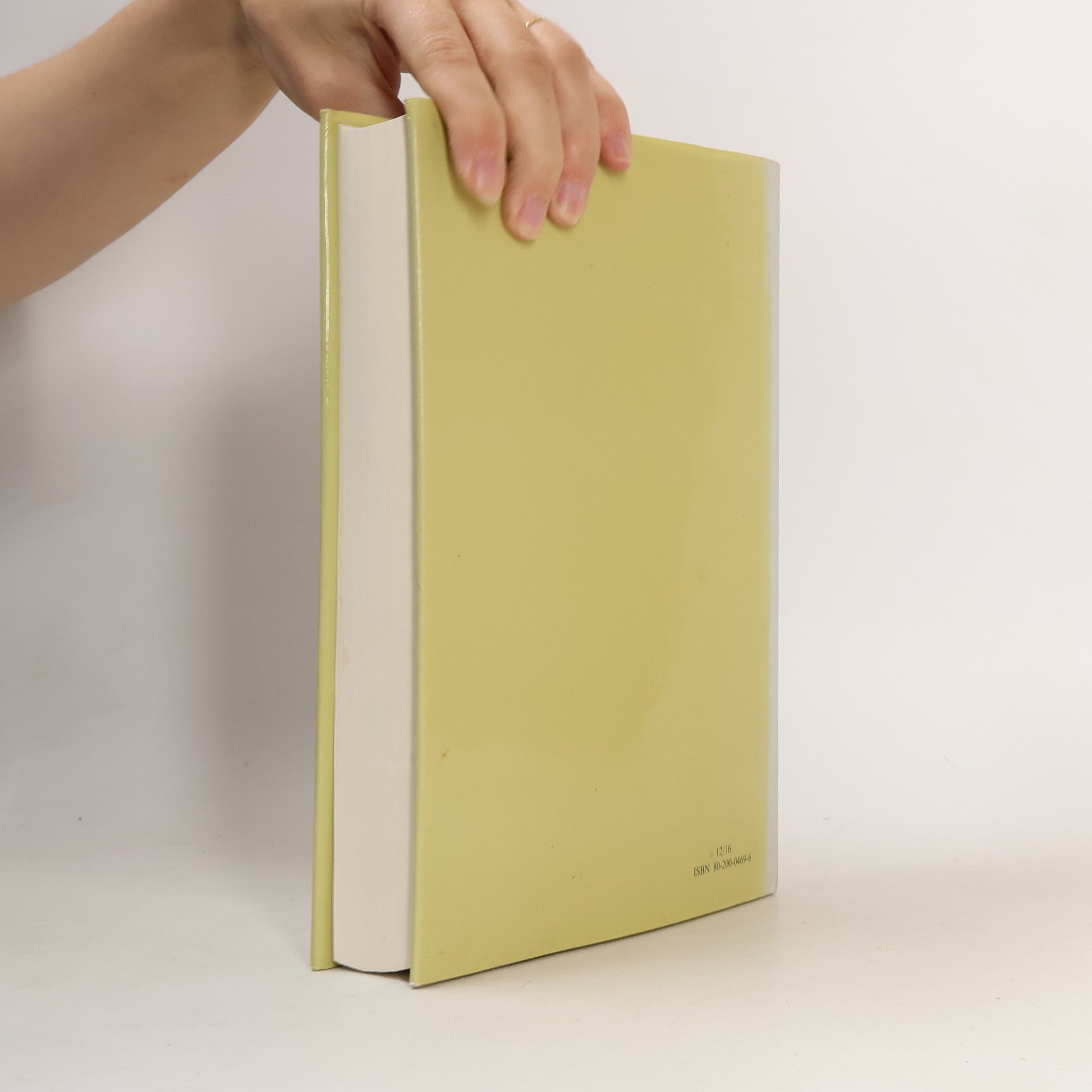 Autorenkollektiv Lexikon české literatury 2/II K-L