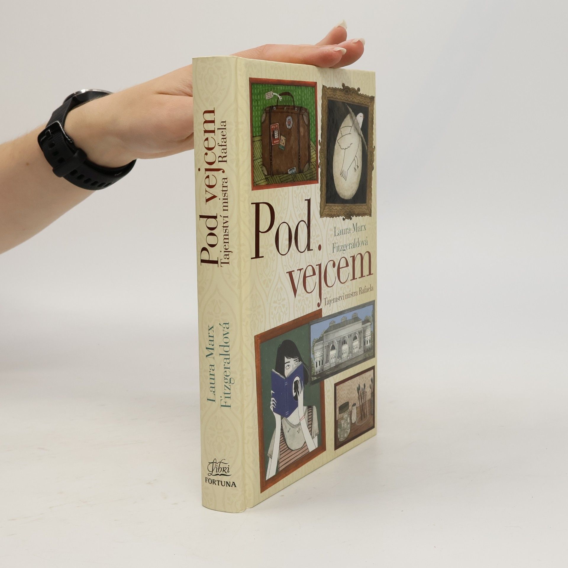 Laura Marx Fitzgerald Pod vejcem: Tajemství mistra Rafaela