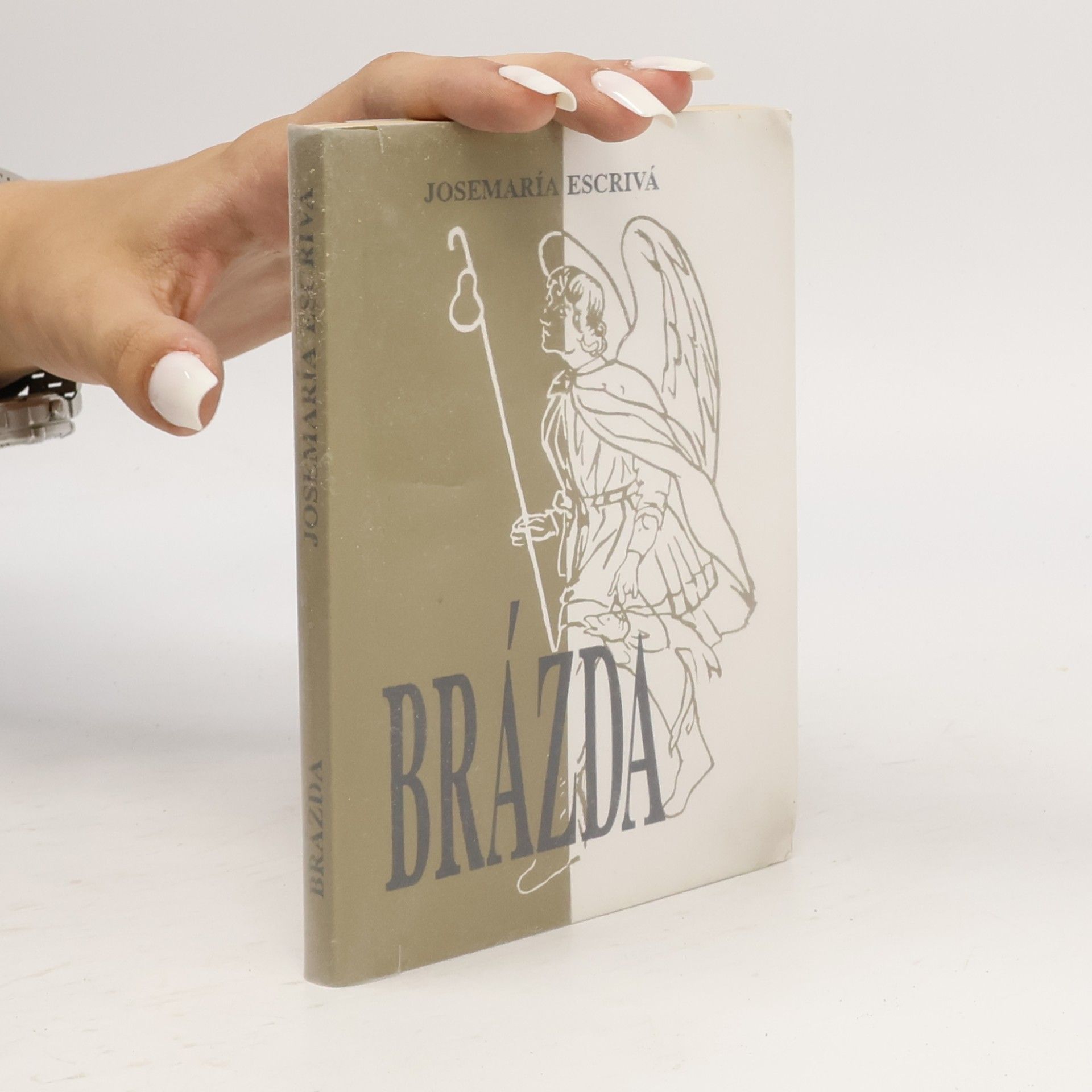 Brázda