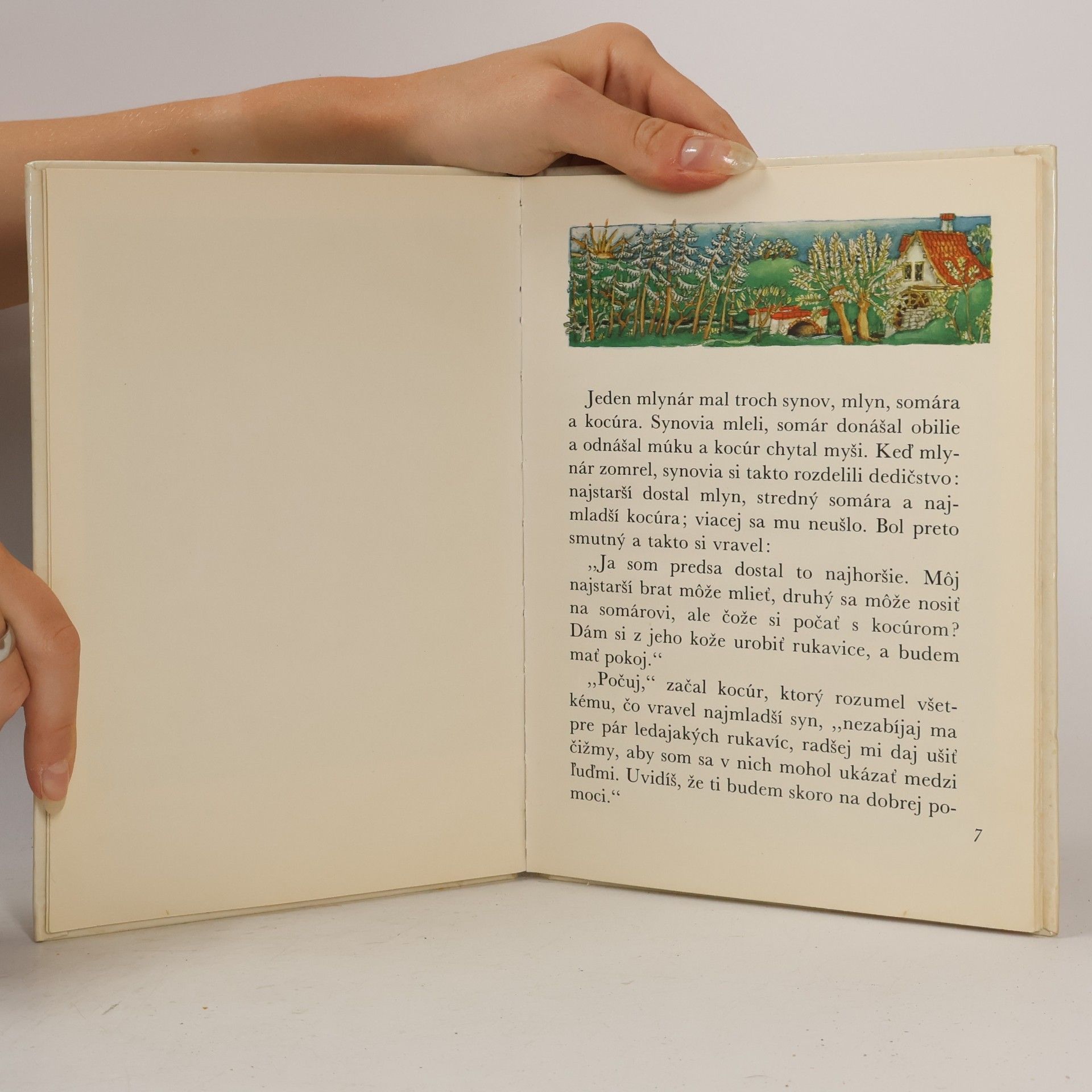 Jacob Grimm Kocúr v čižmách