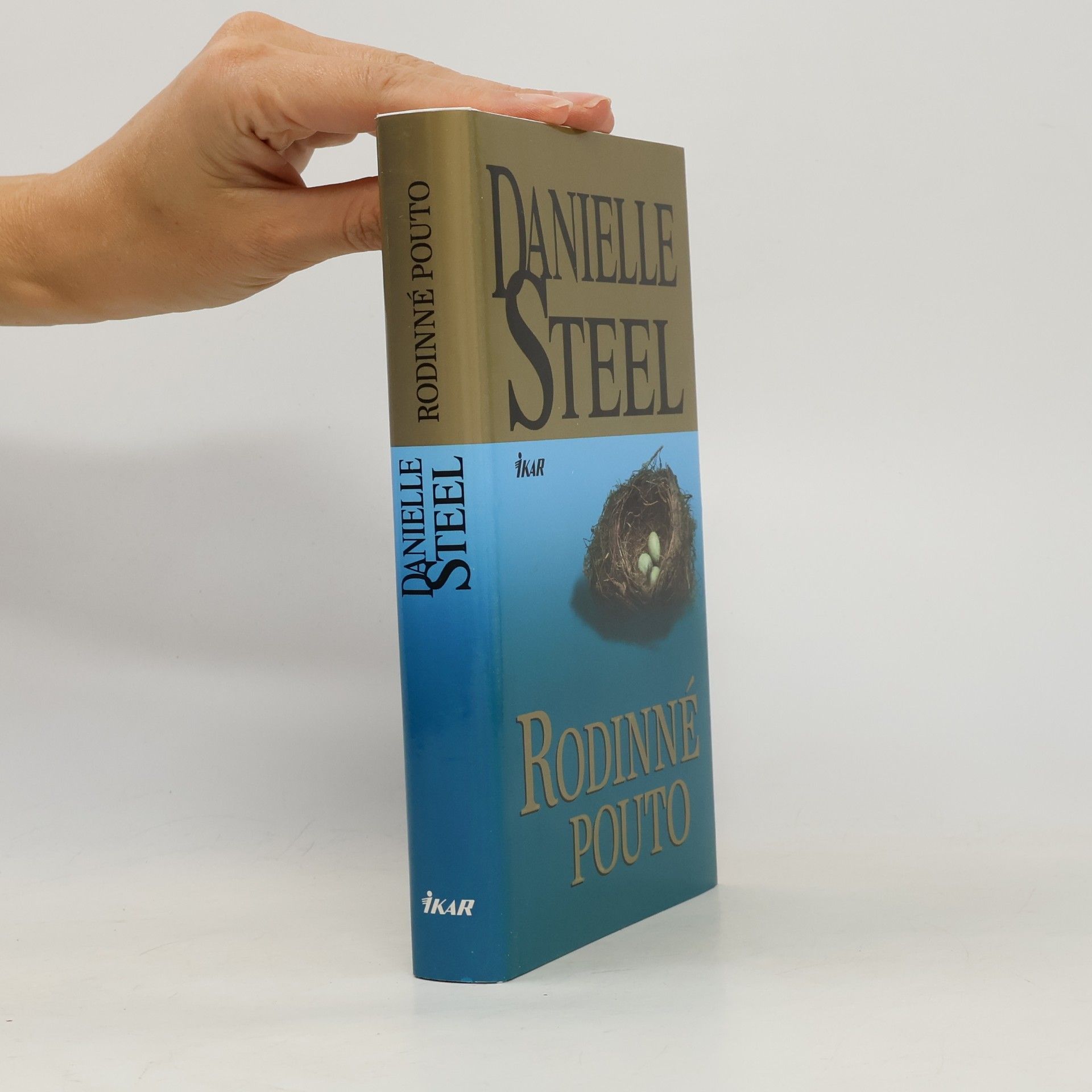 Danielle Steelová Rodinné pouto