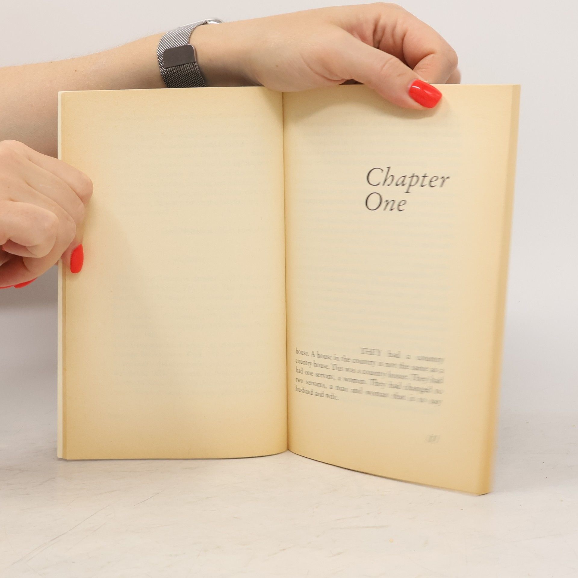 Gertrude Stein Virago Modern Classics: Blood on the Dining-Room Floor