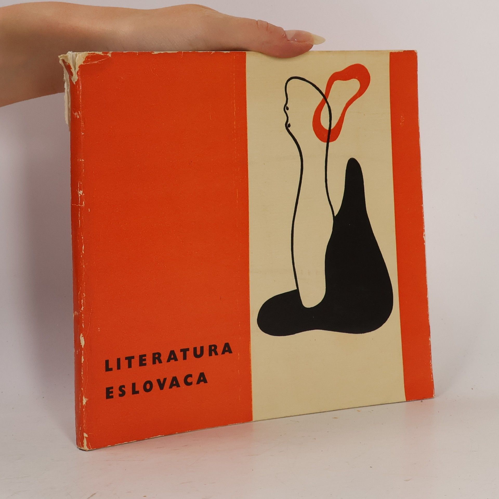 Autorenkollektiv Literatura Eslovaca