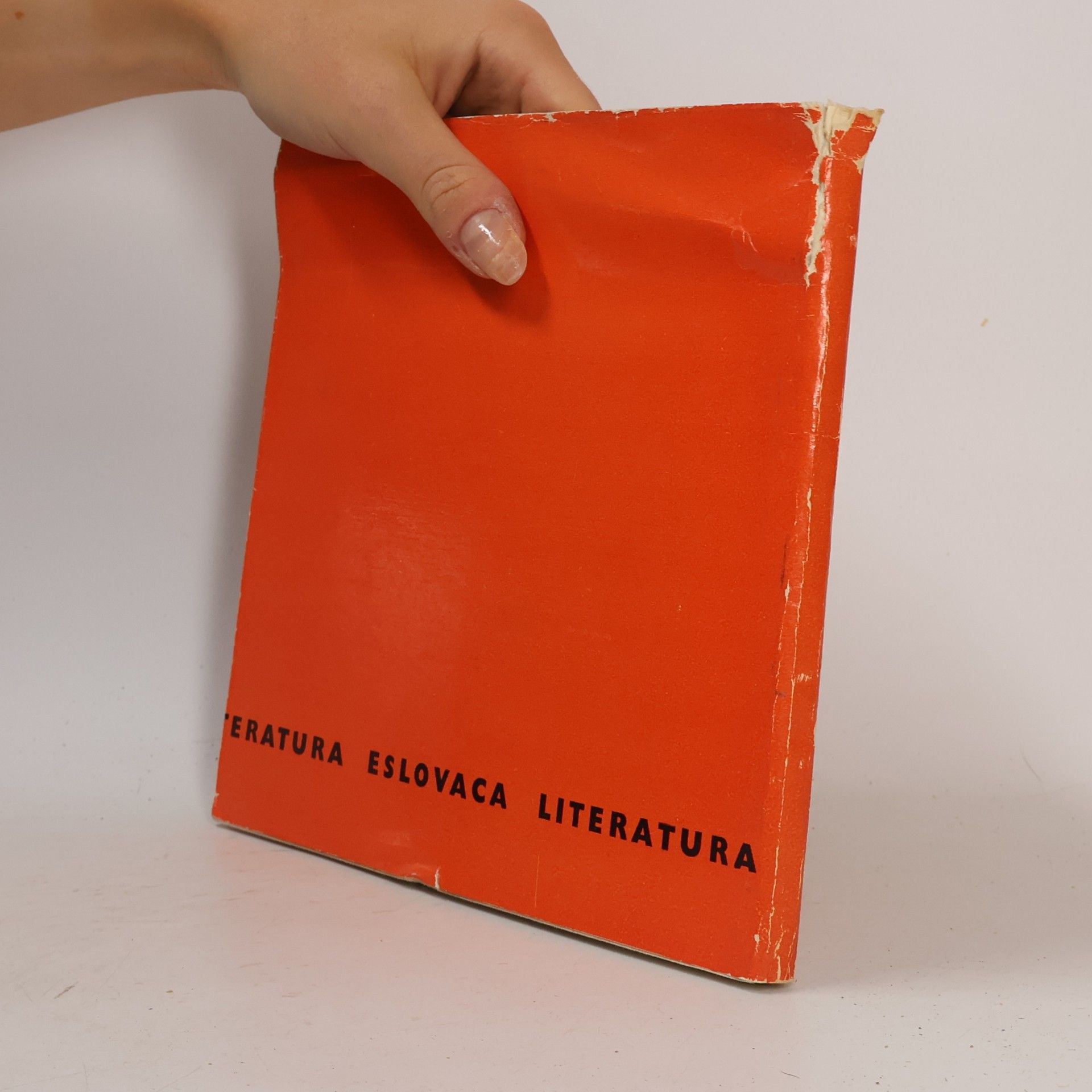 Autorenkollektiv Literatura Eslovaca