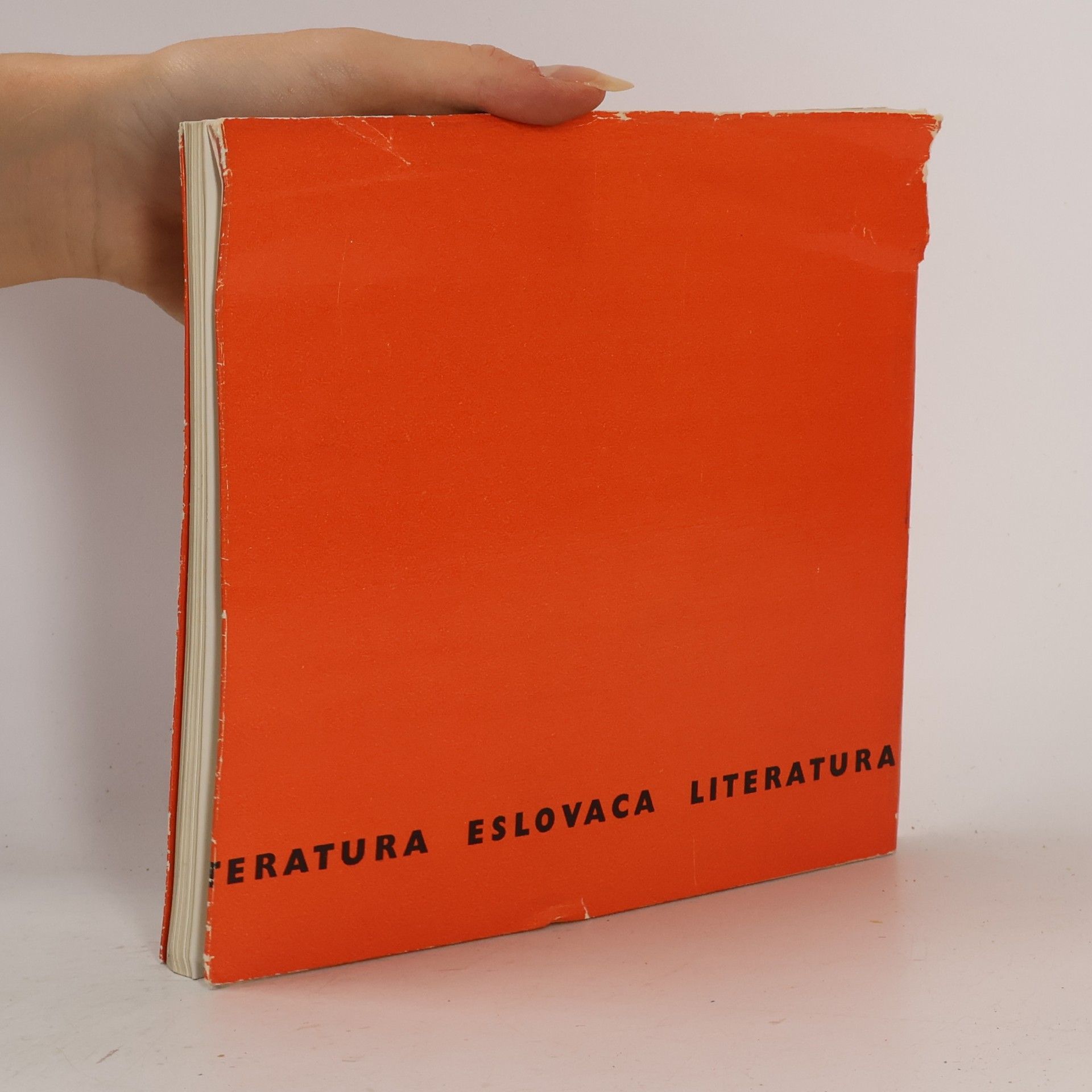 Autorenkollektiv Literatura Eslovaca