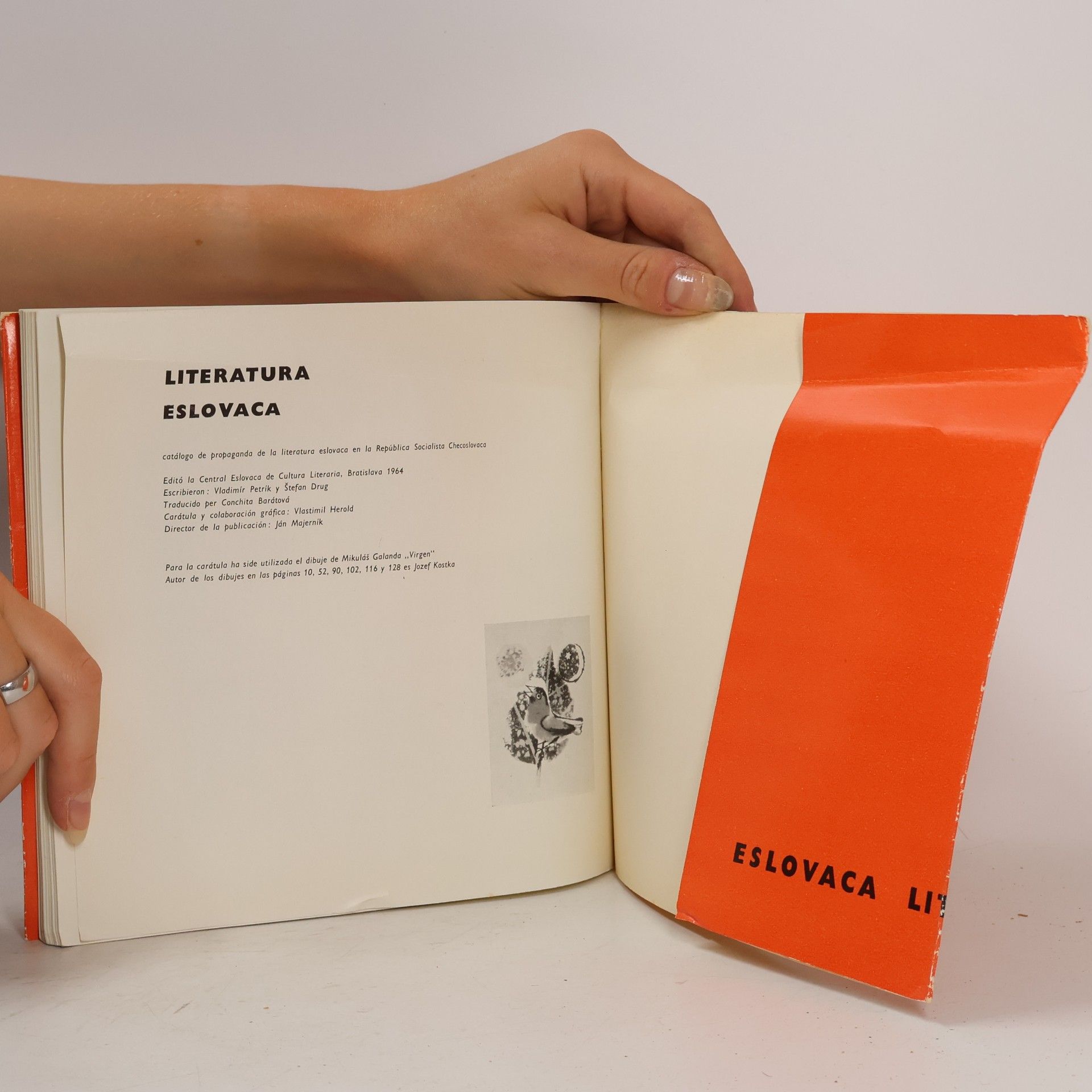 Autorenkollektiv Literatura Eslovaca