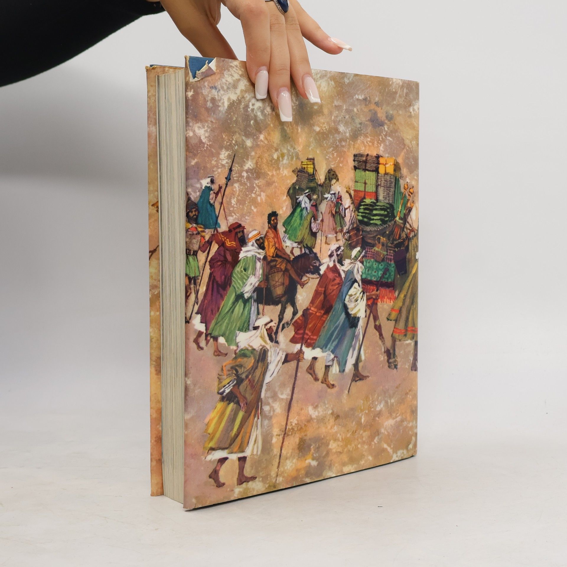 Autorenkollektiv The Catholic Children´s Bible in colour