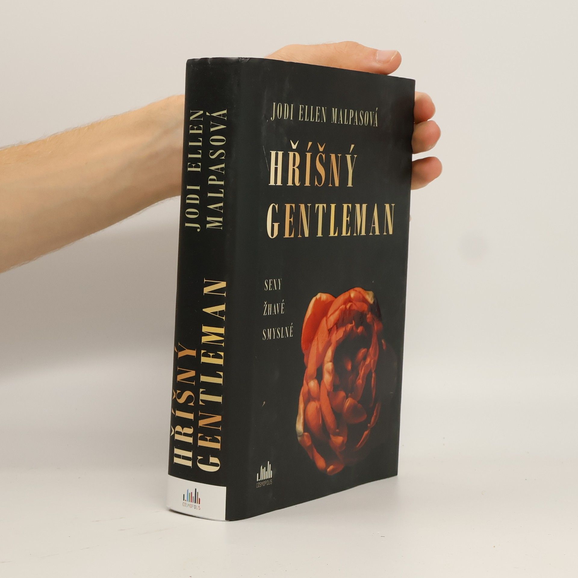 Jodi Ellen Malpas Hříšný gentleman