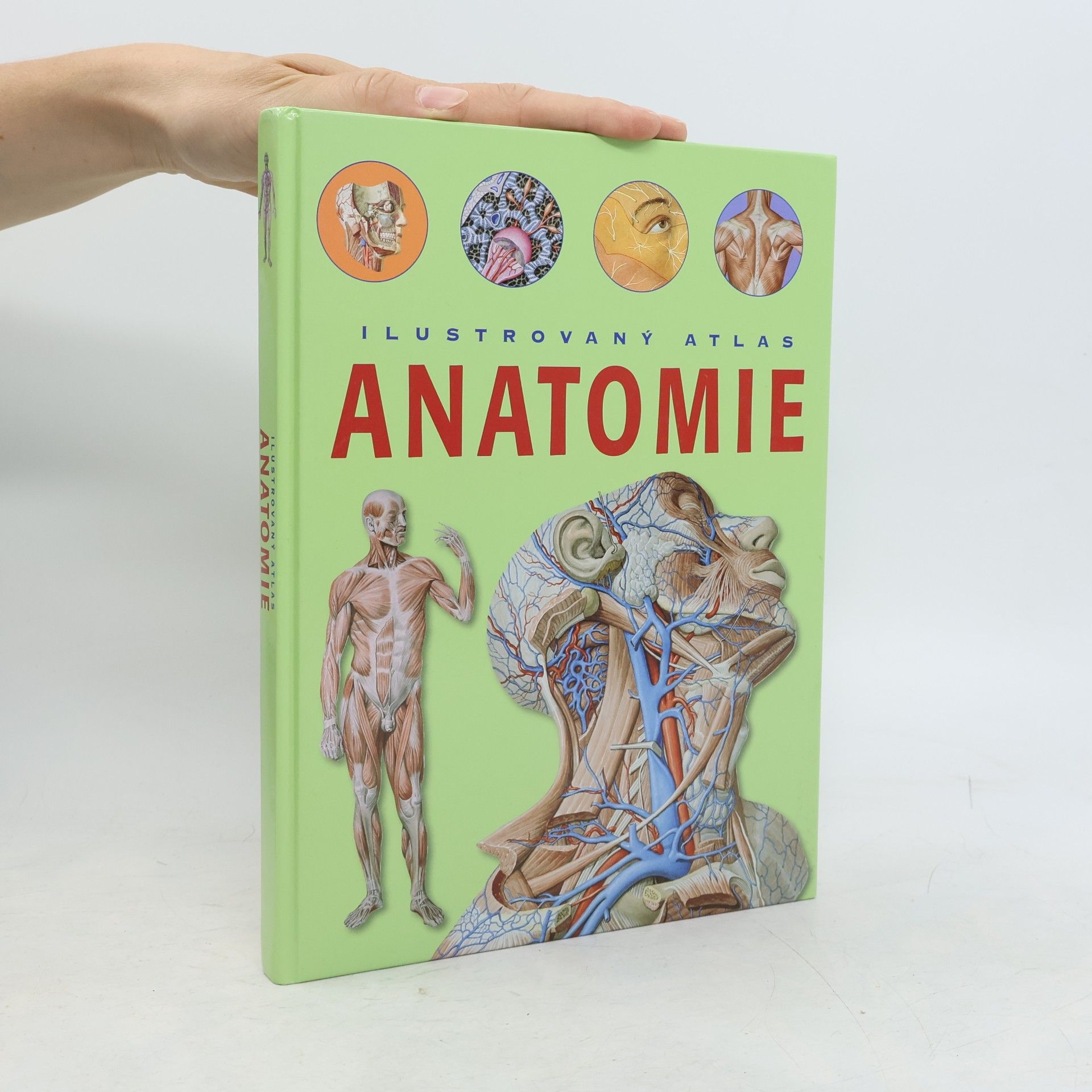 Adriana Rigutti Ilustrovaný atlas anatomie