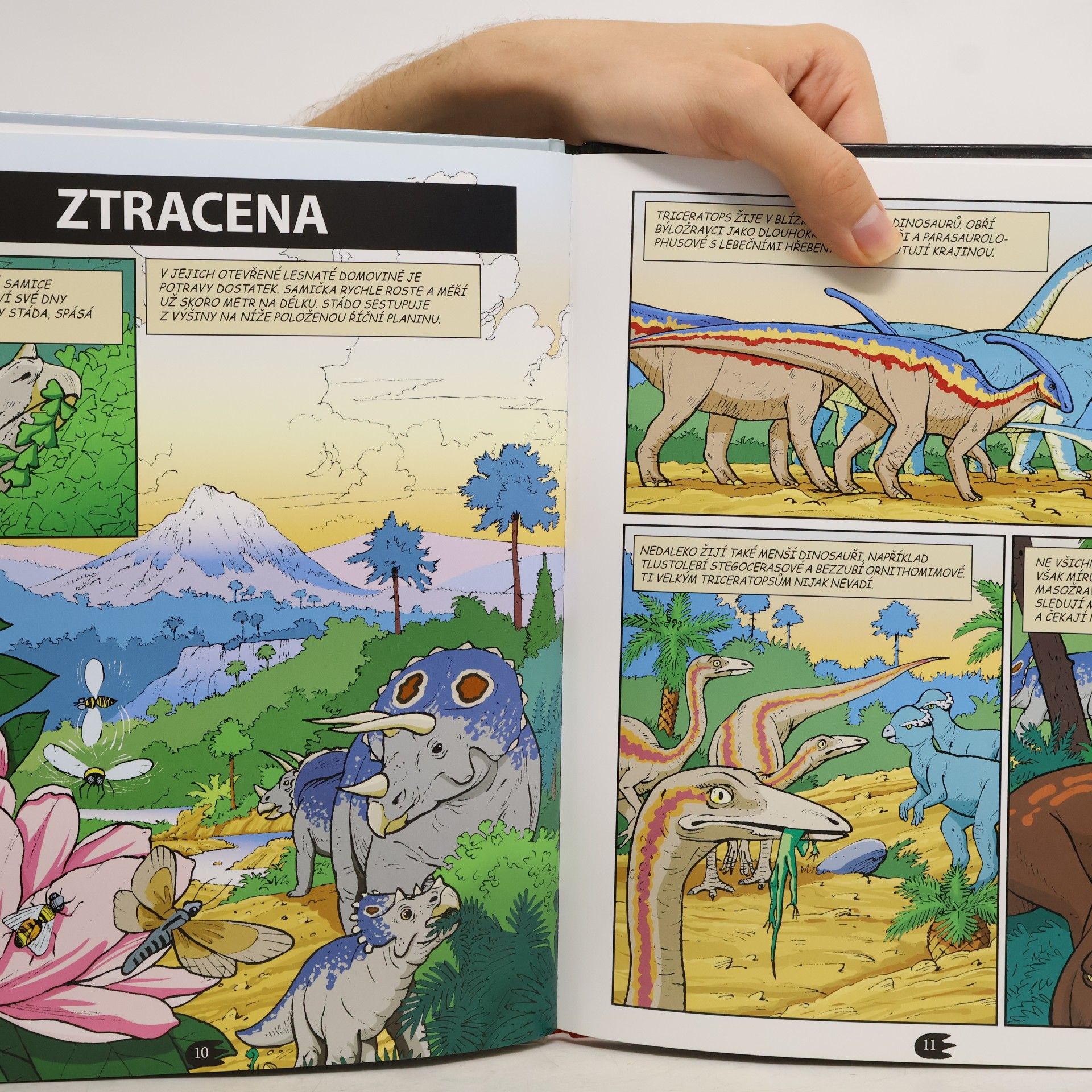 Terry Riley Triceratops - Třírohý dinosaurus