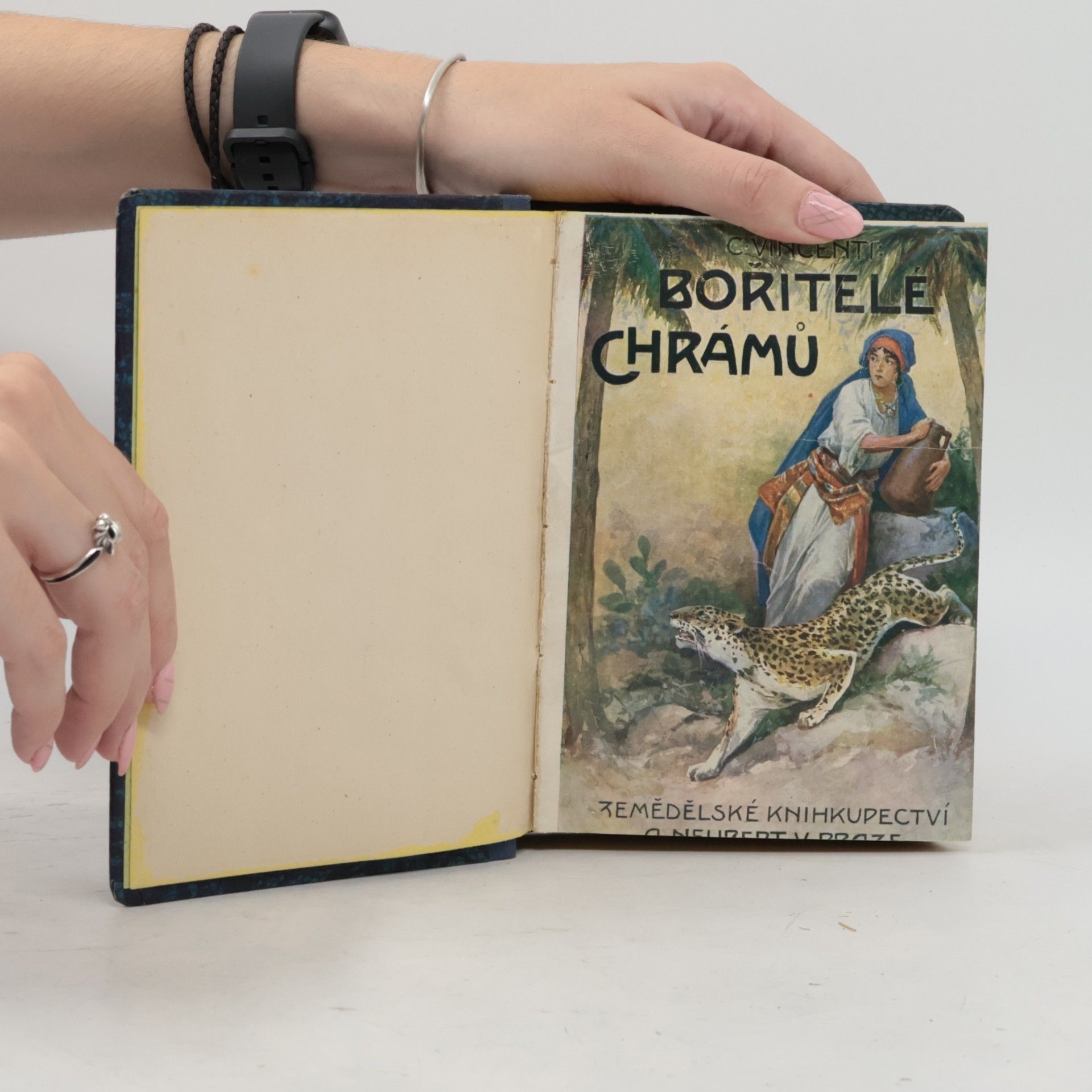 C. Vincenti Bořitele chrámů