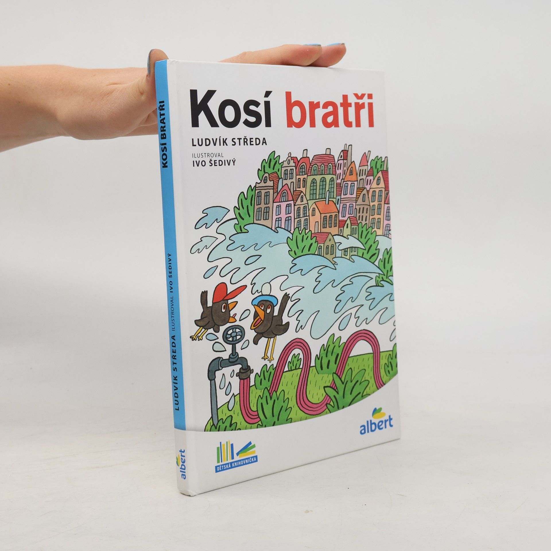Ludvík Středa Kosí bratři