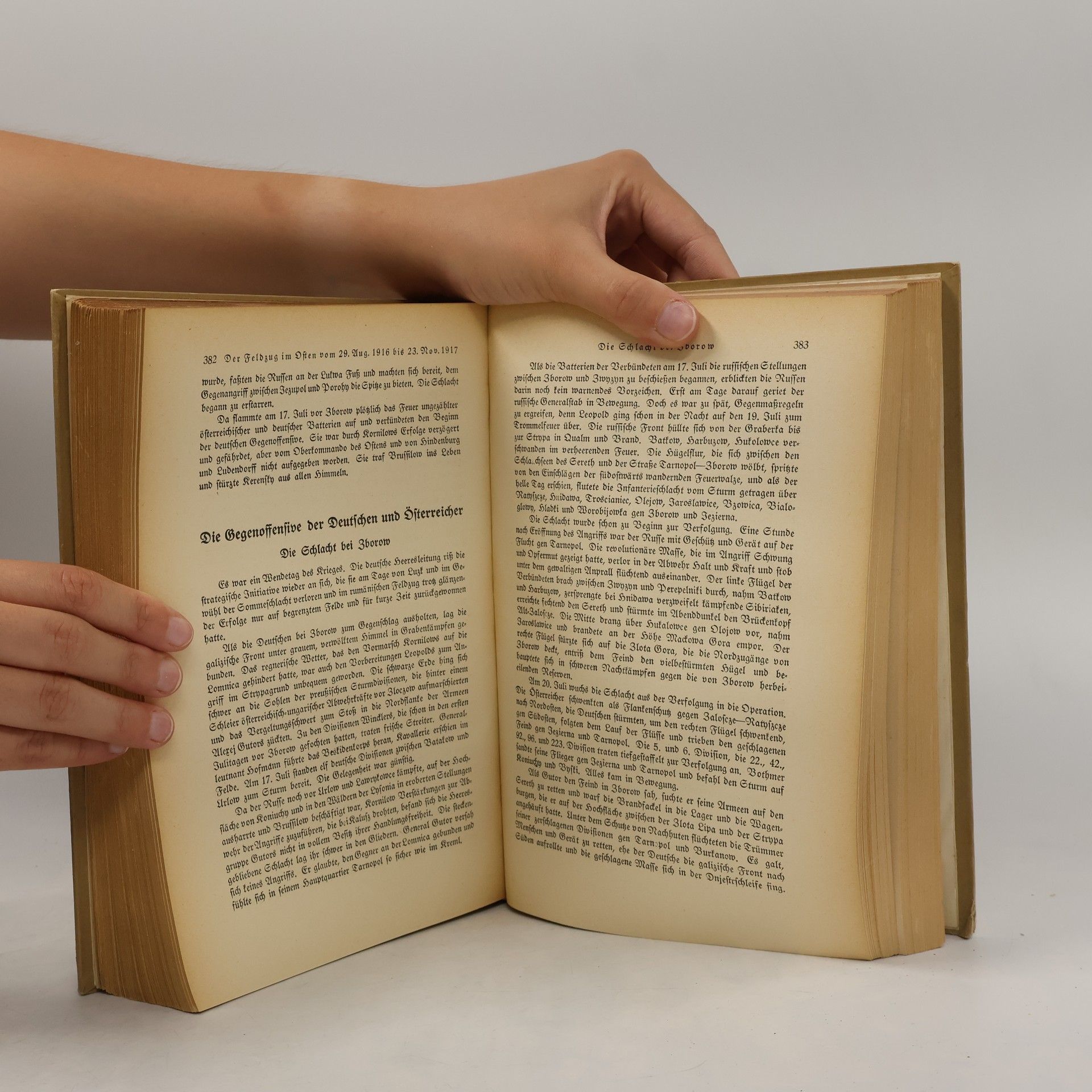 Hermann Stegemann Geschichte des Krieges 4