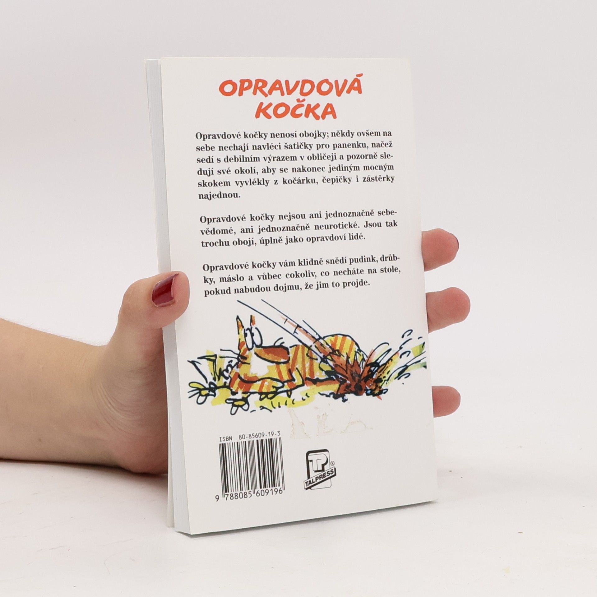 Terry Pratchett Nefalšovaná kočka