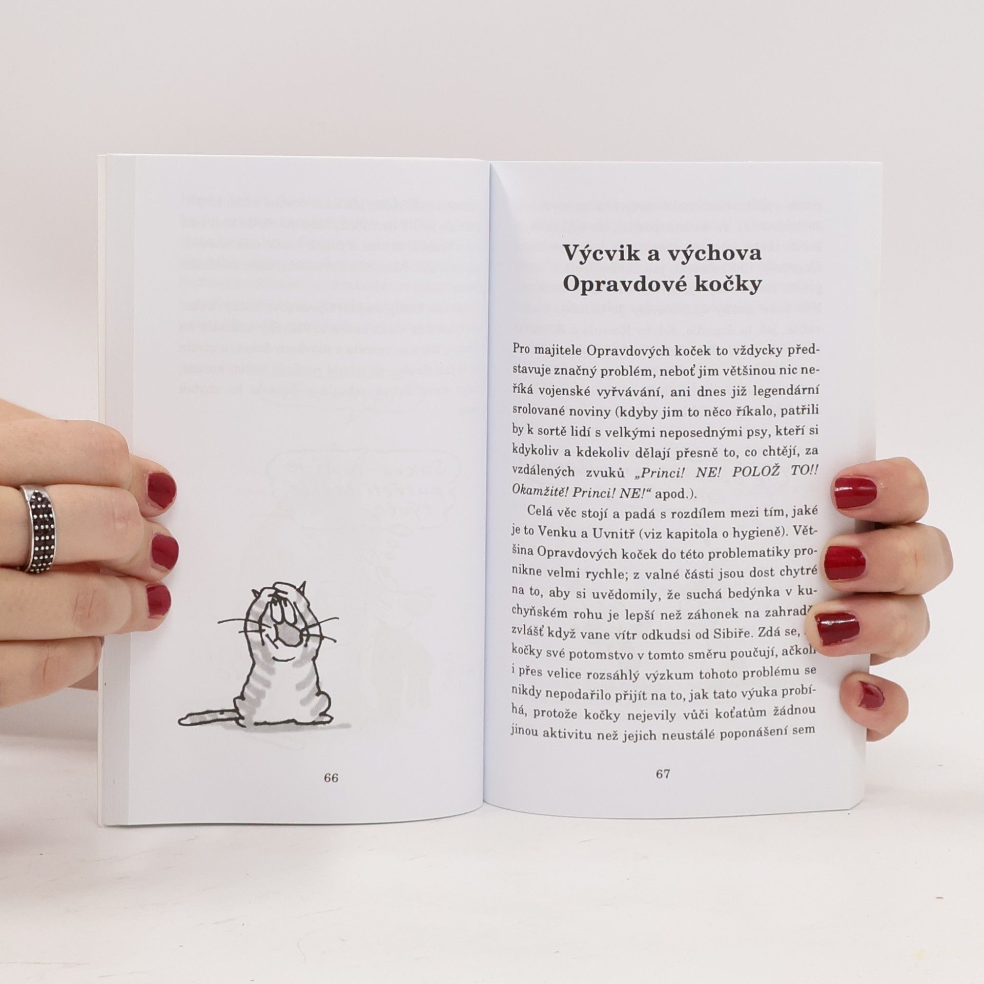 Terry Pratchett Nefalšovaná kočka