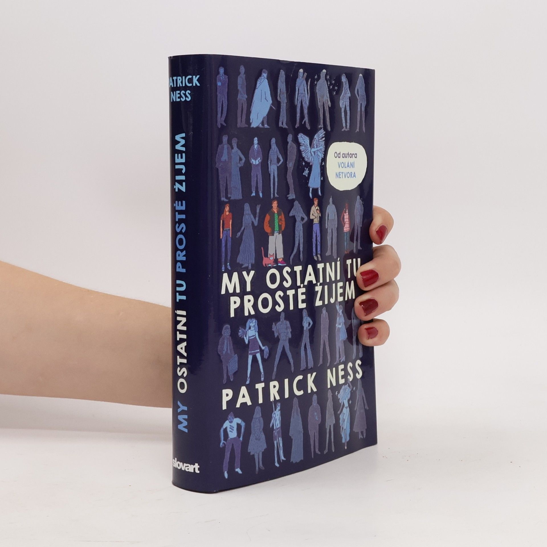 Patrick Ness My ostatní tu prostě žijem
