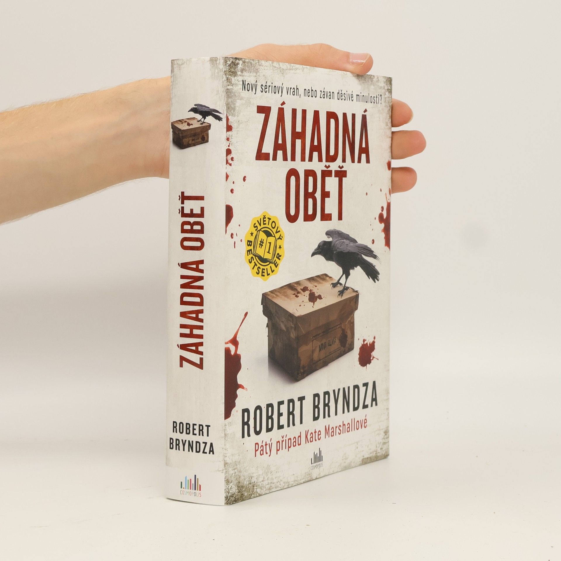 Robert Bryndza Záhadná oběť